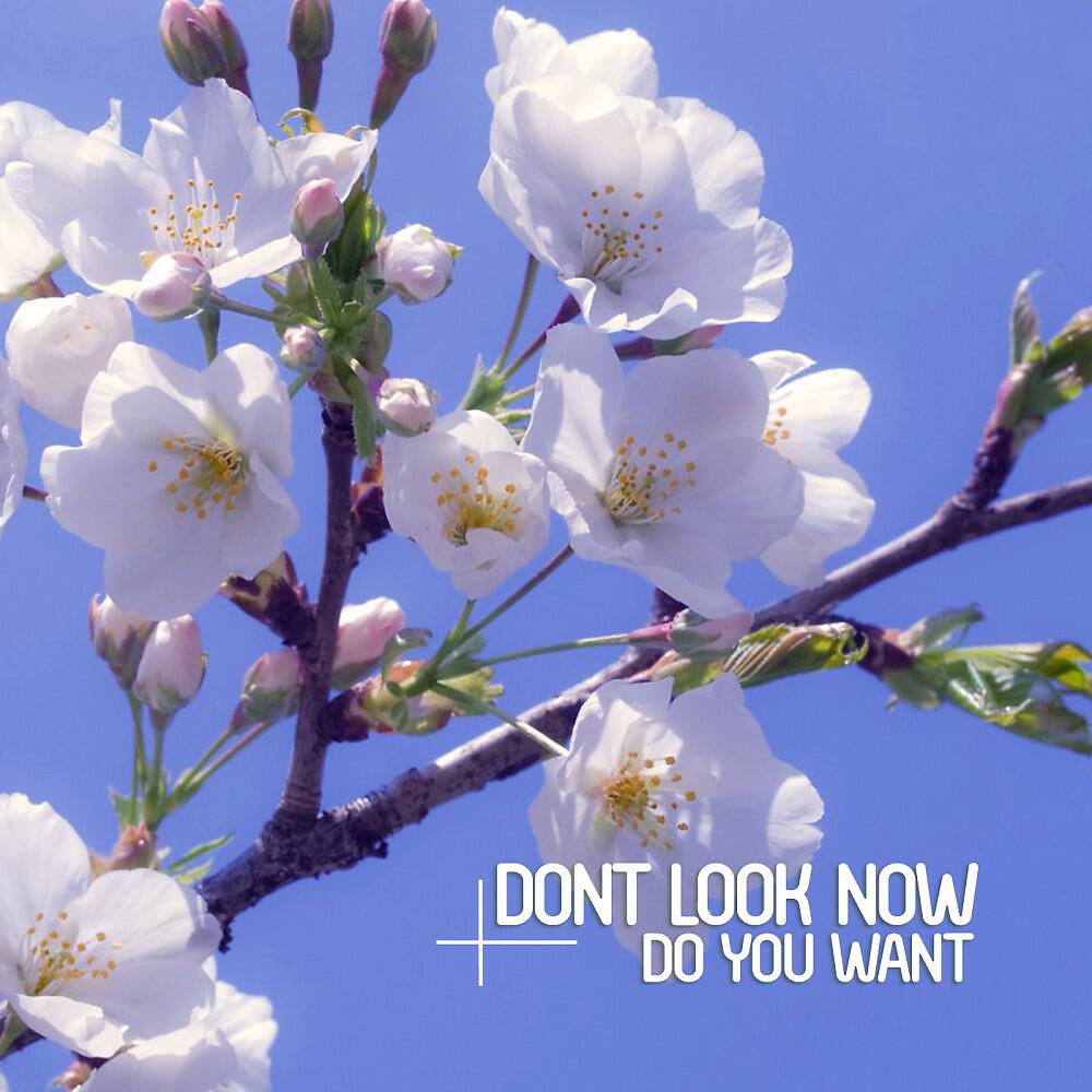 Dont Look Now - Never Better (Original Mix)