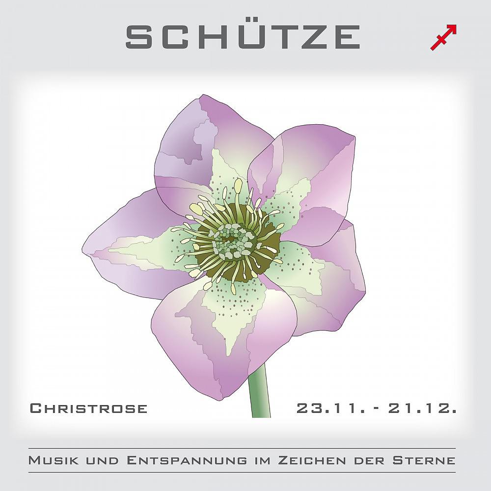 Постер альбома Schütze - Musik und Entspannung im Zeichen der Sterne
