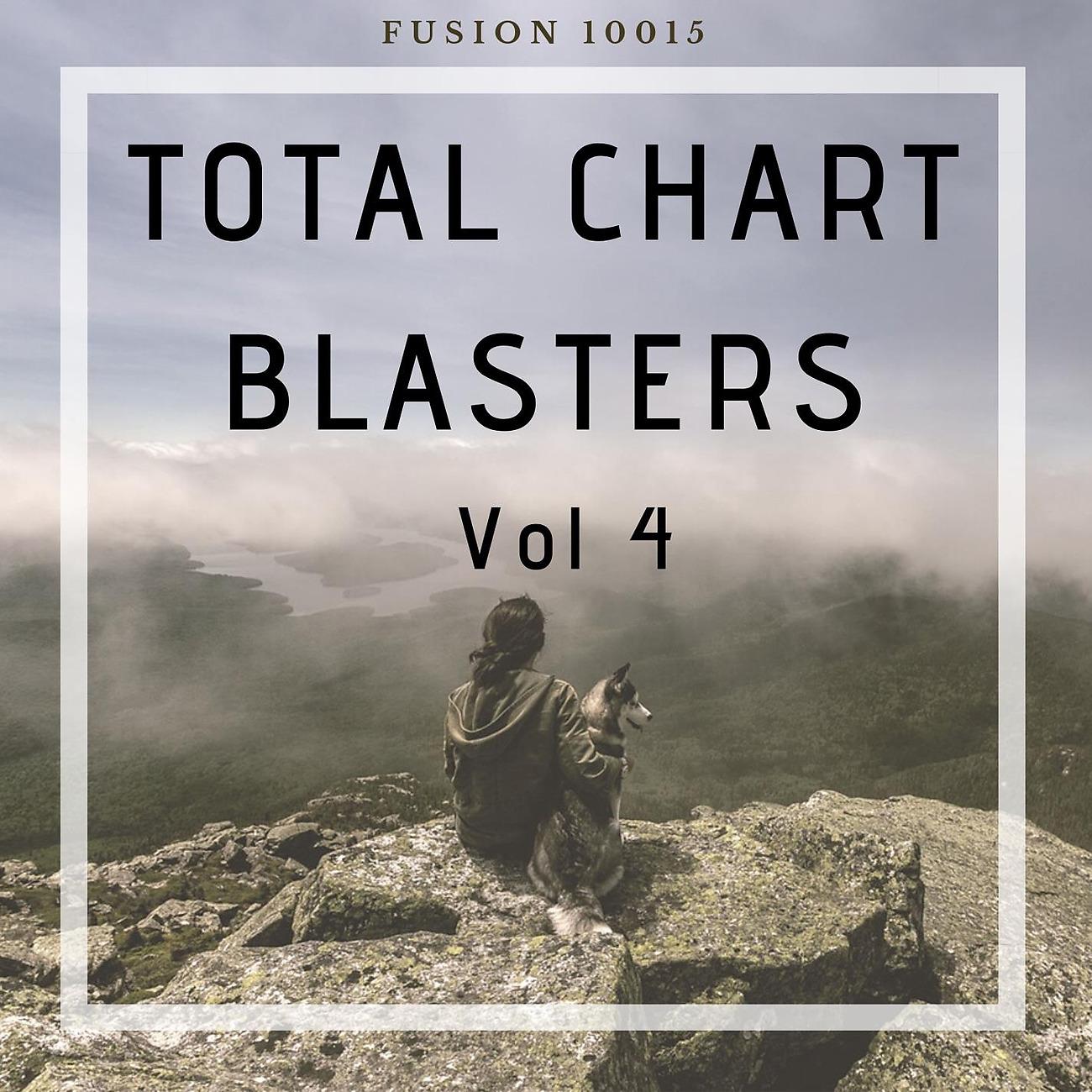 Постер альбома Total Chart Blasters Vol 4
