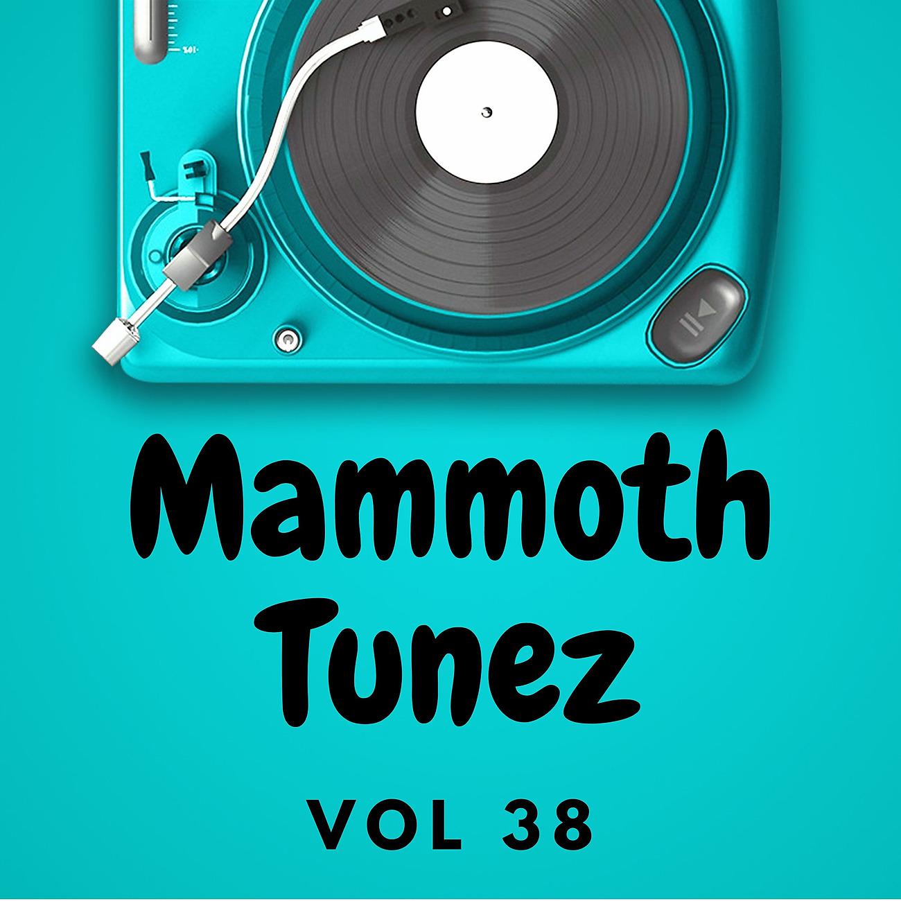 Постер альбома Mammoth Tunez Vol 38
