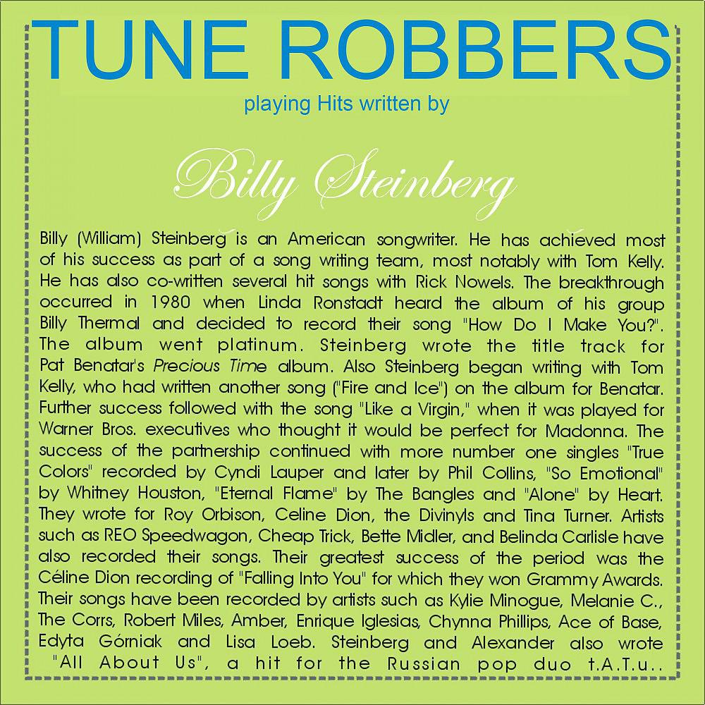 Постер альбома Tune Robbers Playing Hits Written by Billy Steinberg