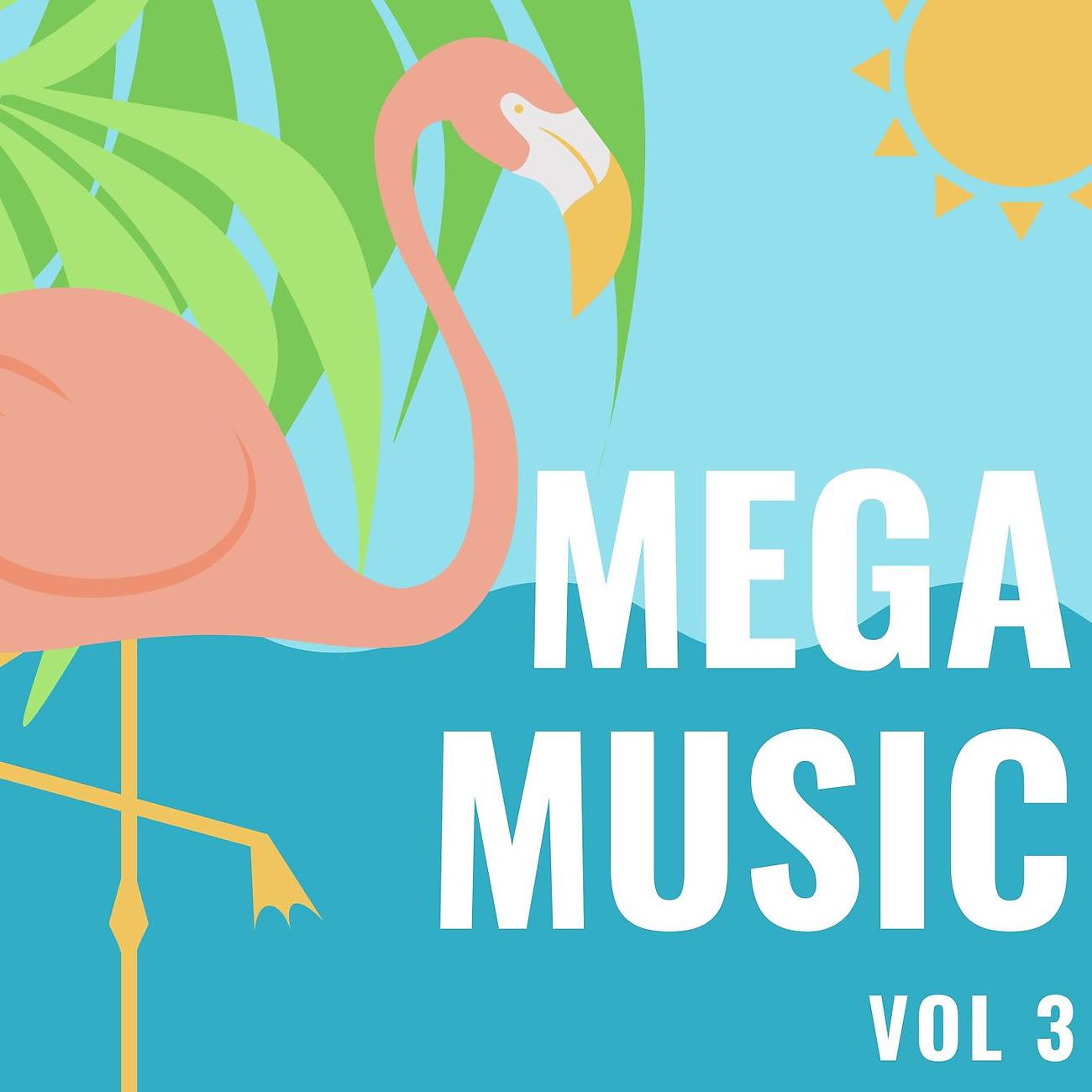 Постер альбома Mega Music Vol 3