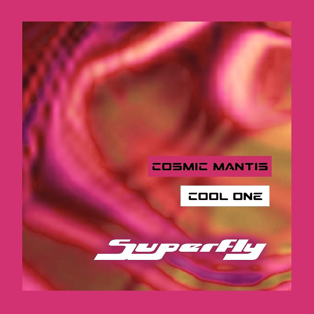 Постер альбома Cool One Superfly