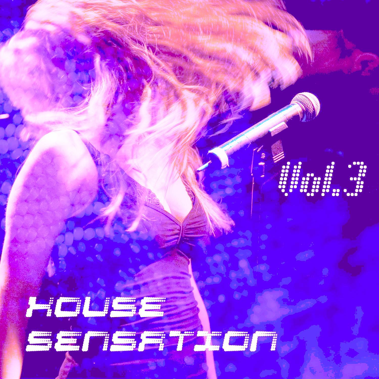 Постер альбома House Sensation Vol. 3