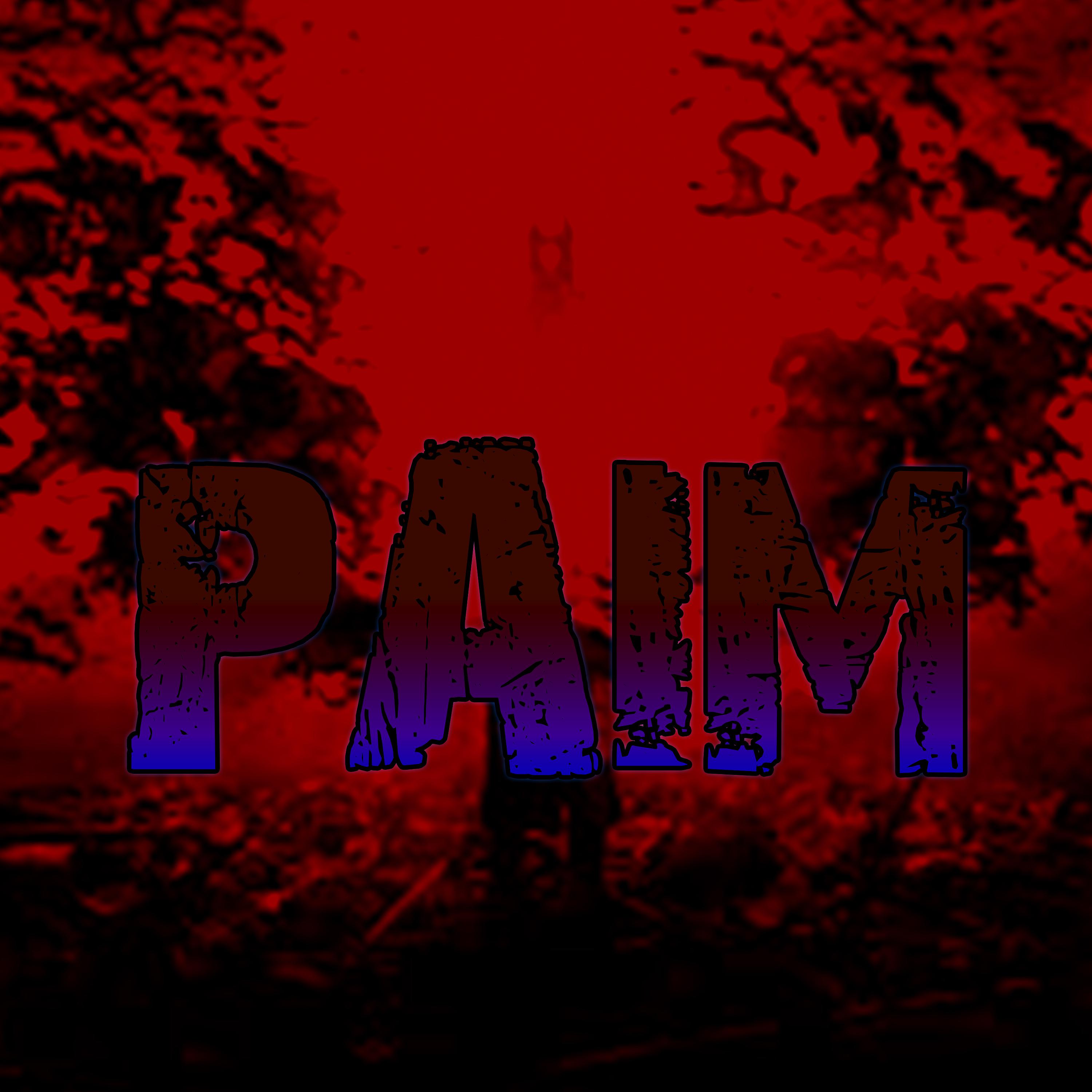 Постер альбома Paim