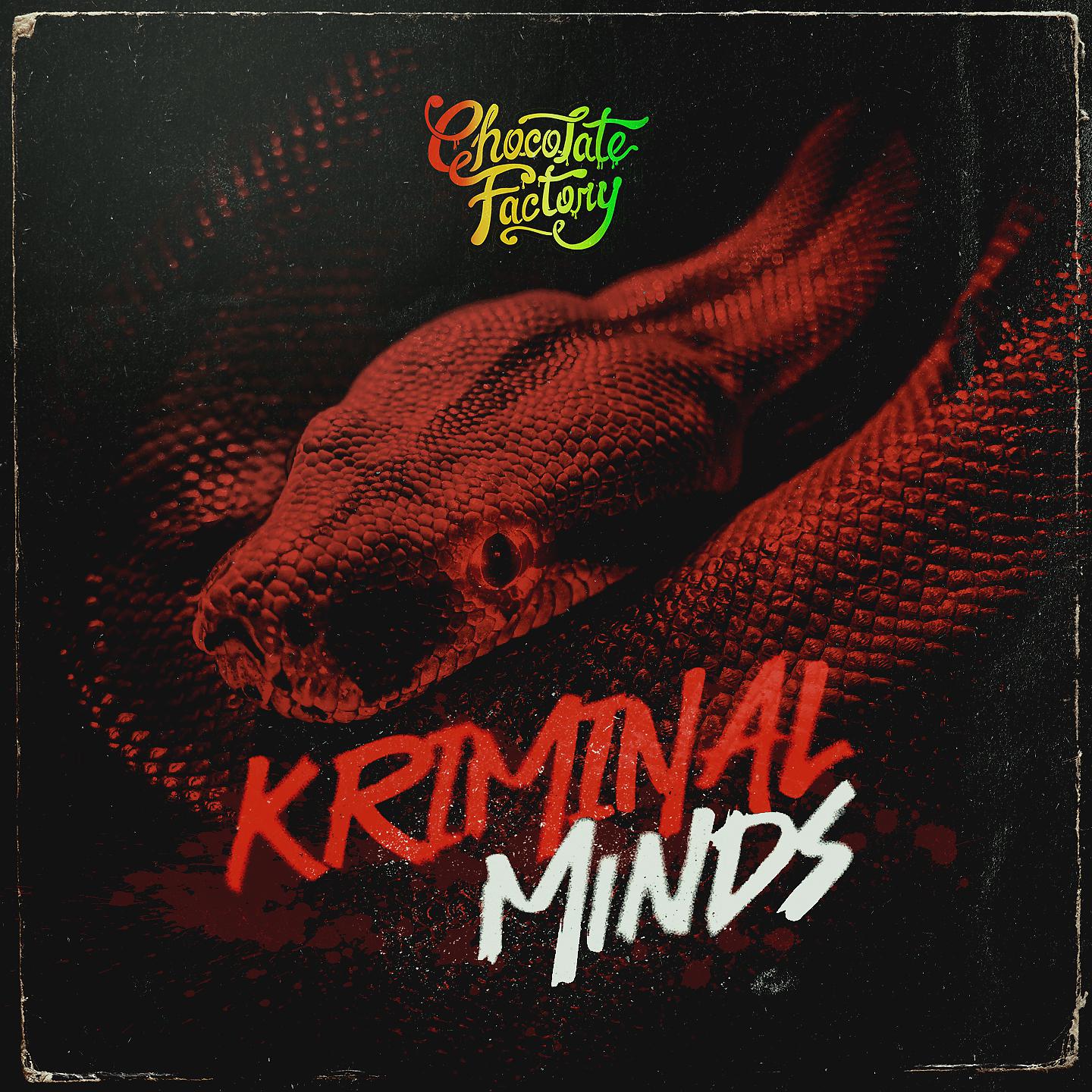 Постер альбома Kriminal Minds