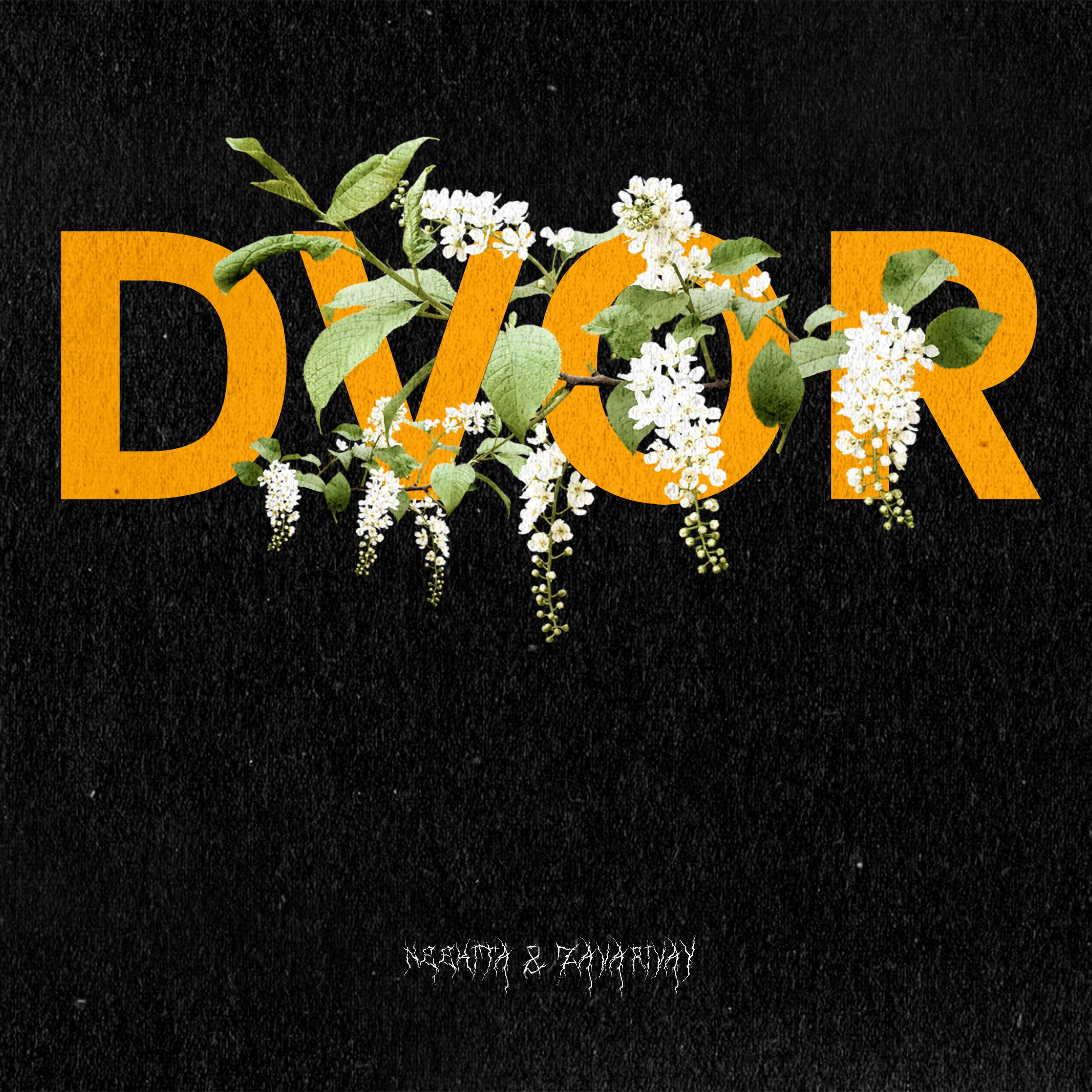 Постер альбома DVOR