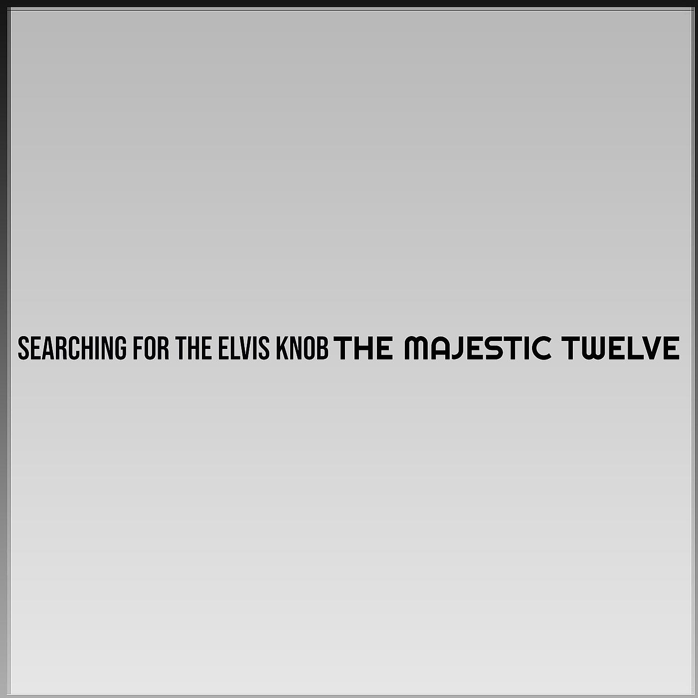 Постер альбома Searching for the Elvis Knob