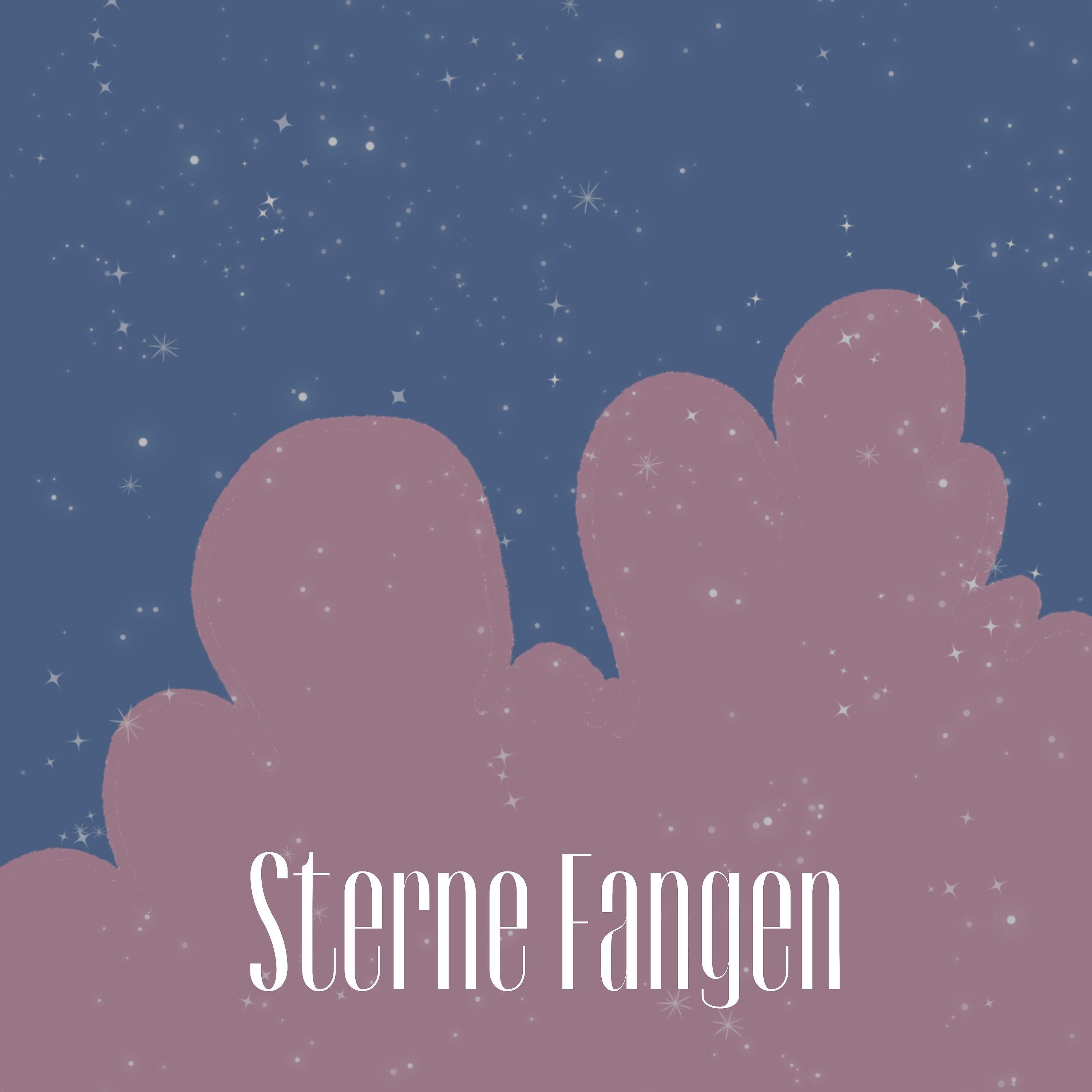 Постер альбома Sterne Fangen