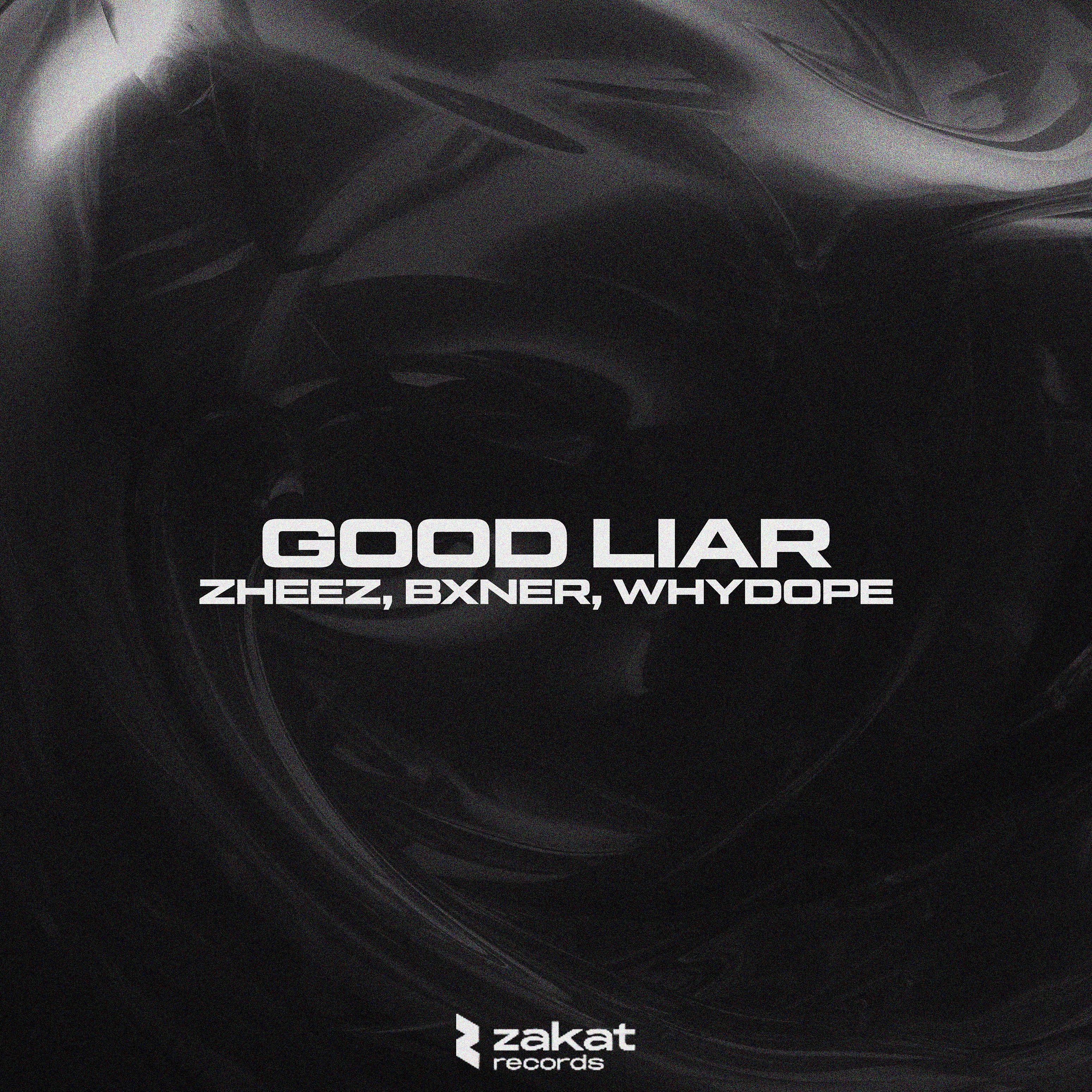 Постер альбома Good Liar