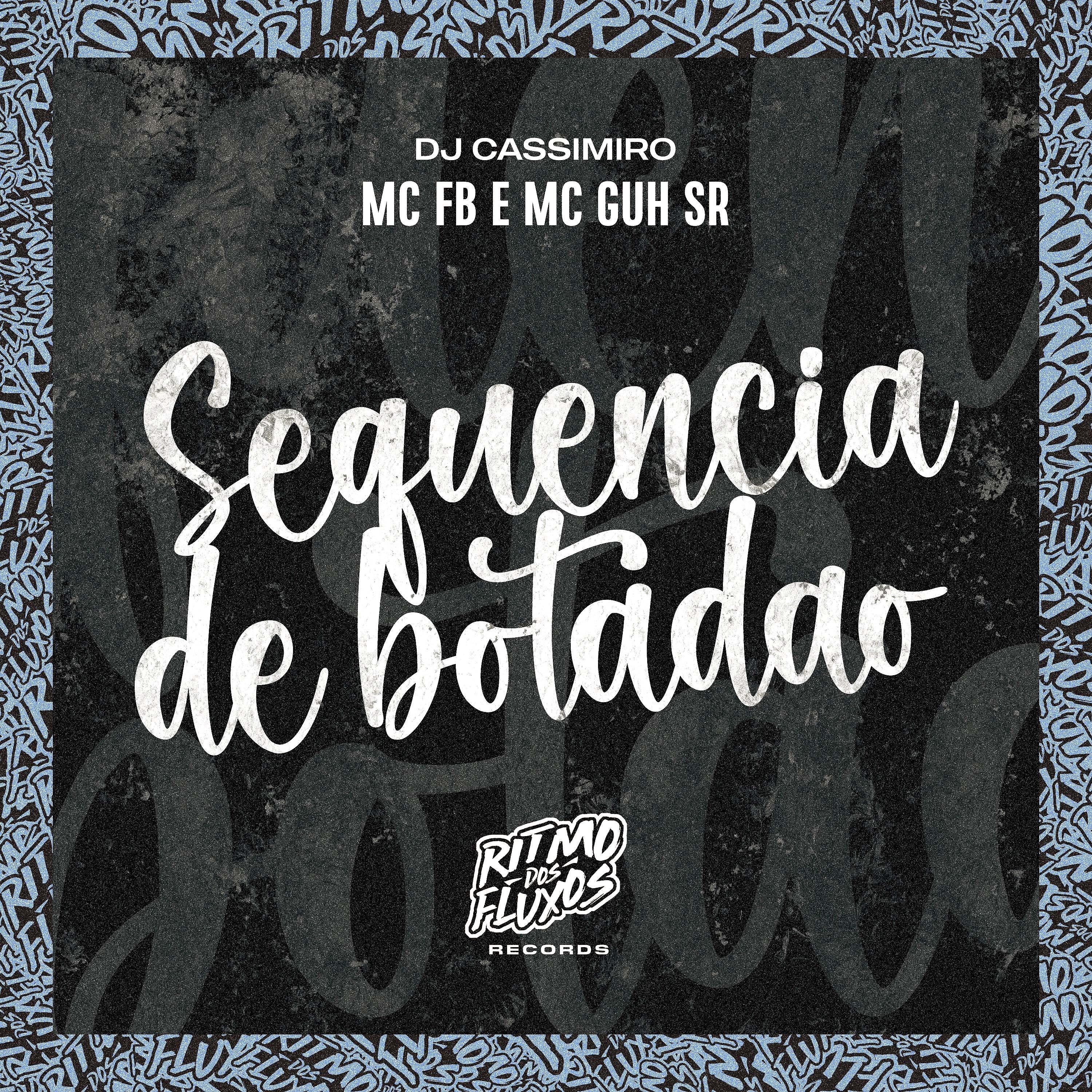 Постер альбома Sequência de Botadão