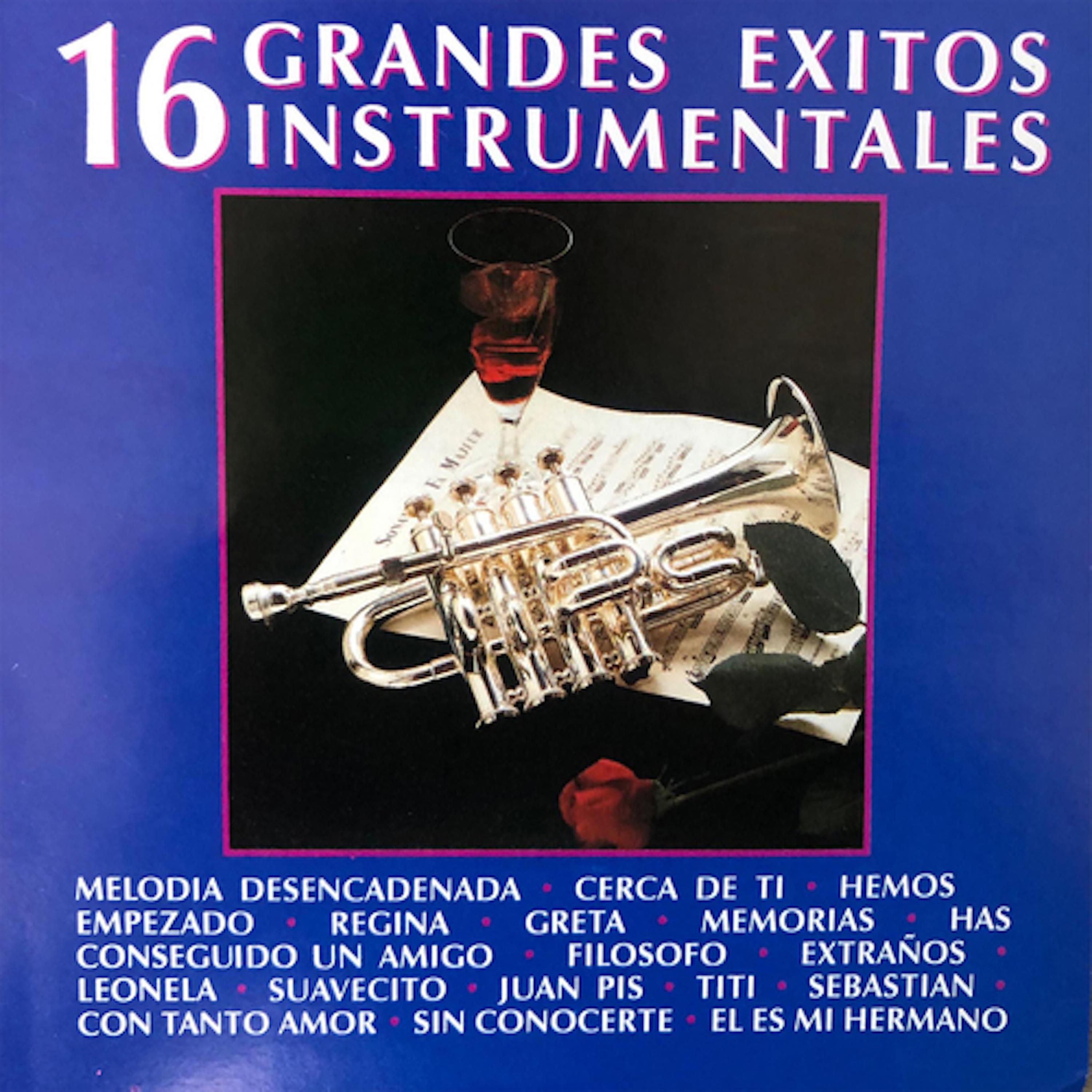 Постер альбома 16 Grandes Exitos Instrumentales