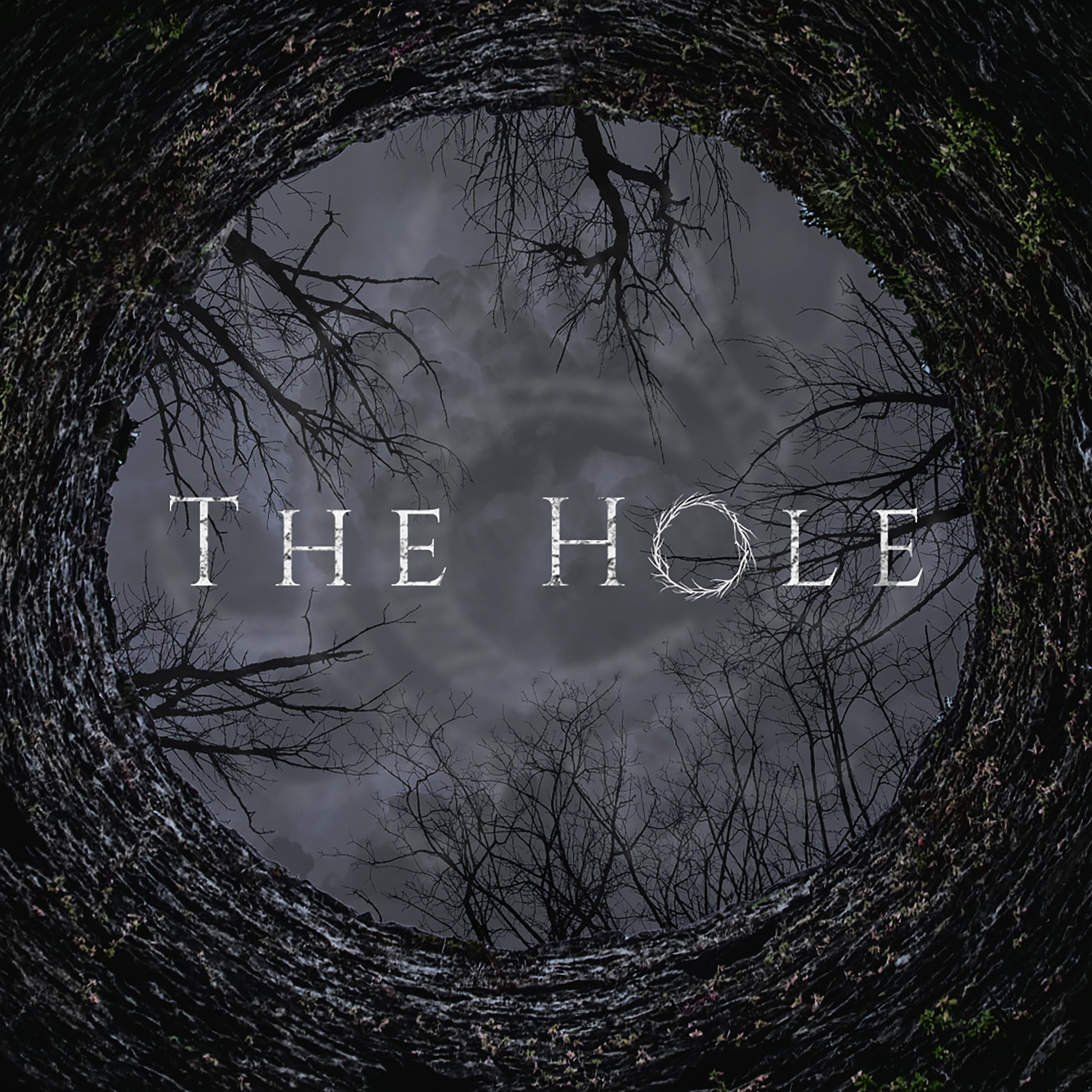 Постер альбома The Hole