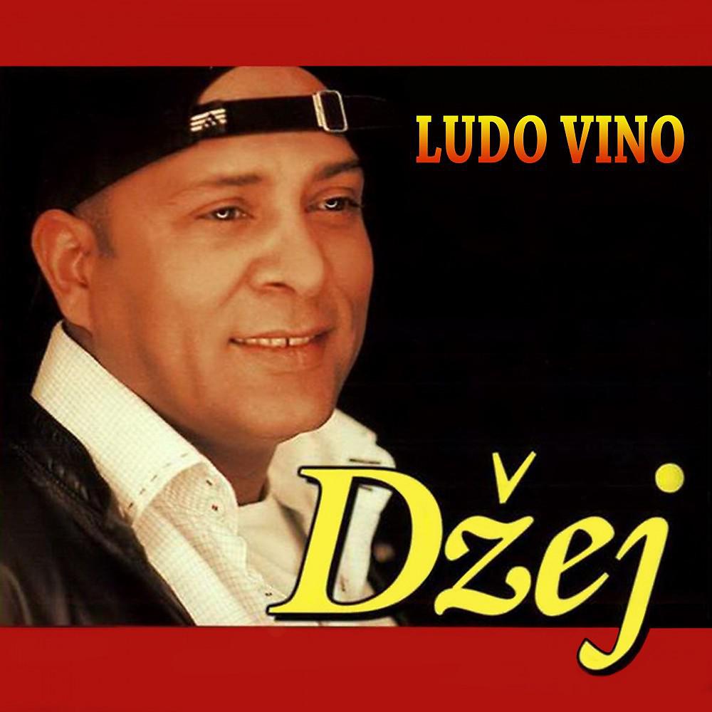 Постер альбома Ludo vino
