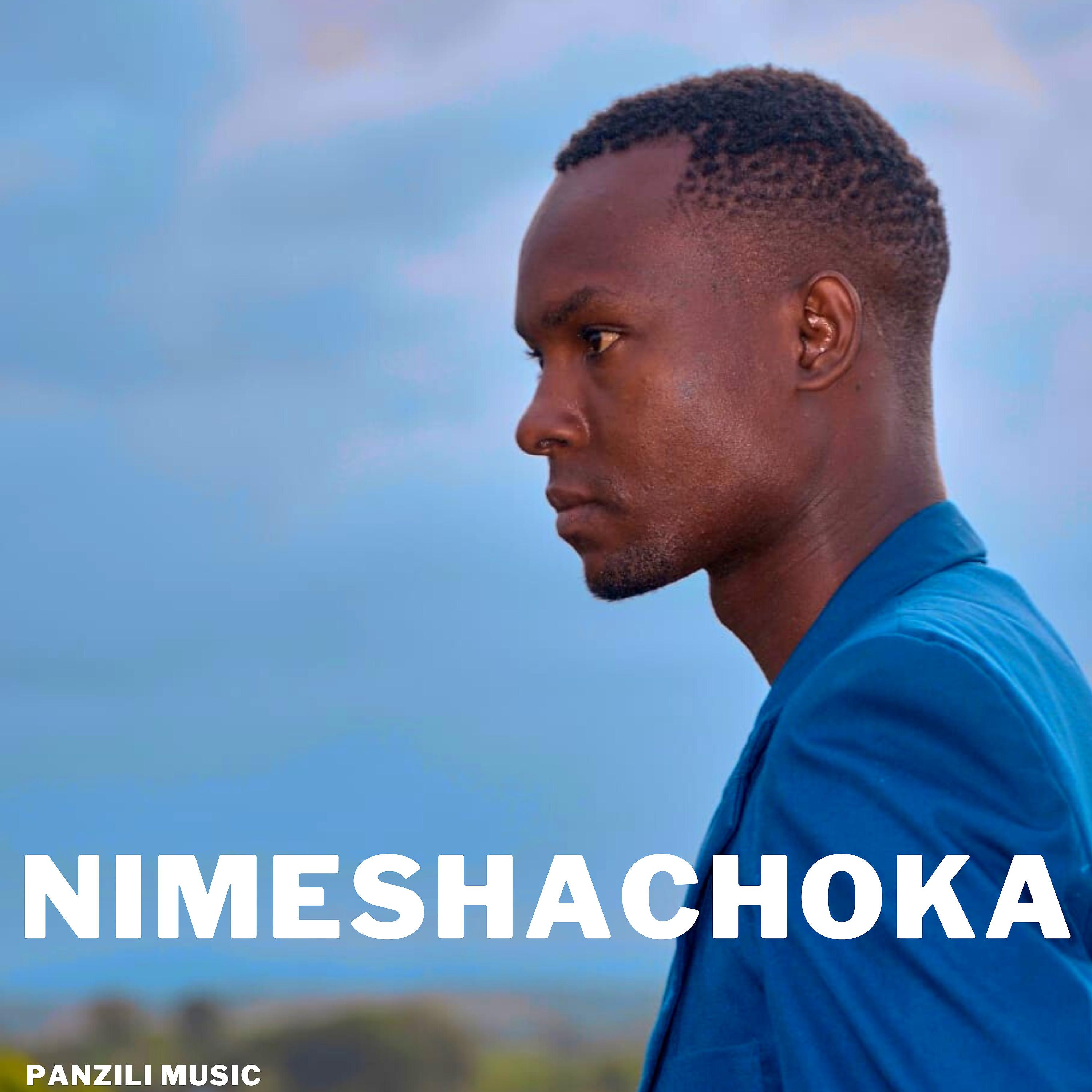 Постер альбома Nimeshachoka