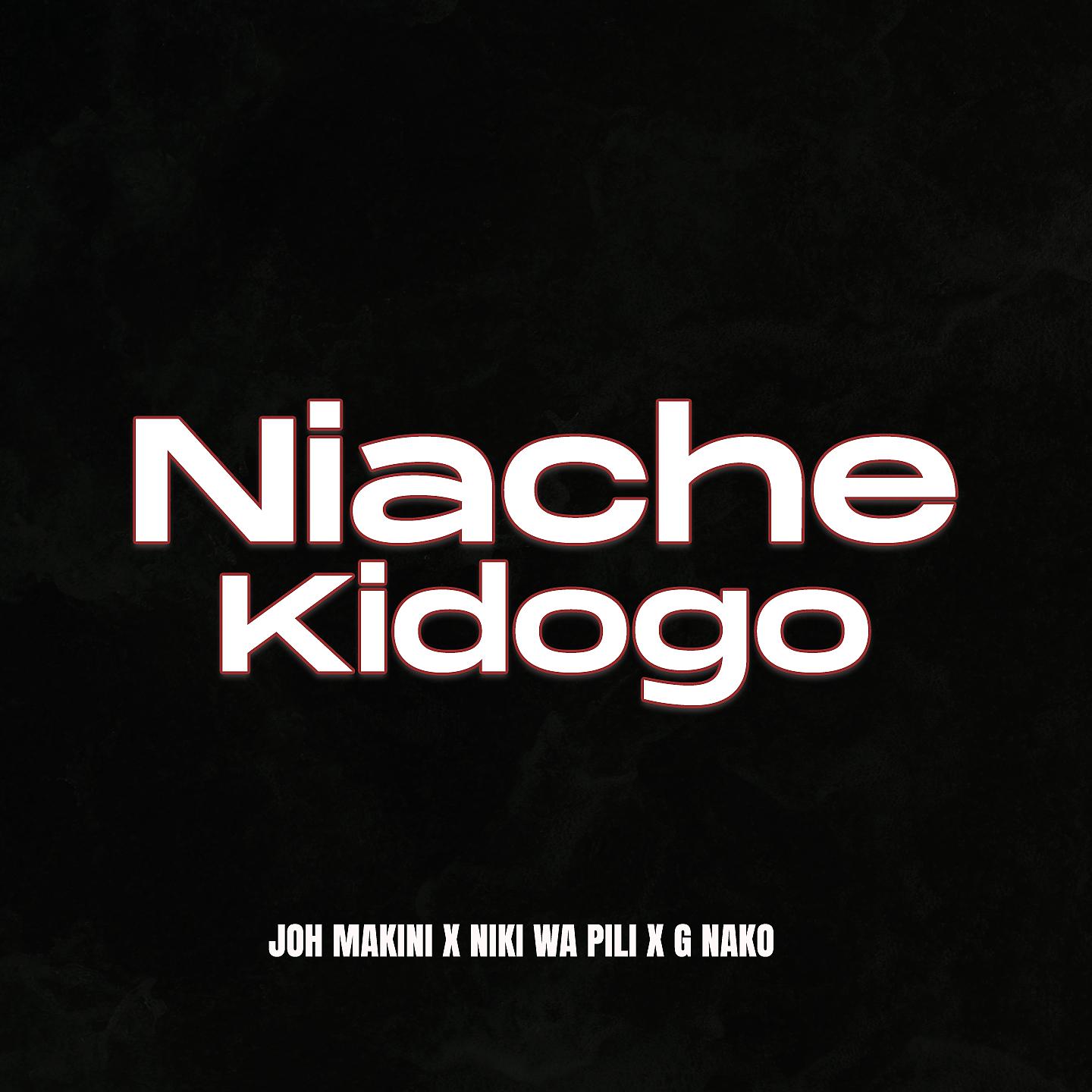 Постер альбома Niache Kidogo