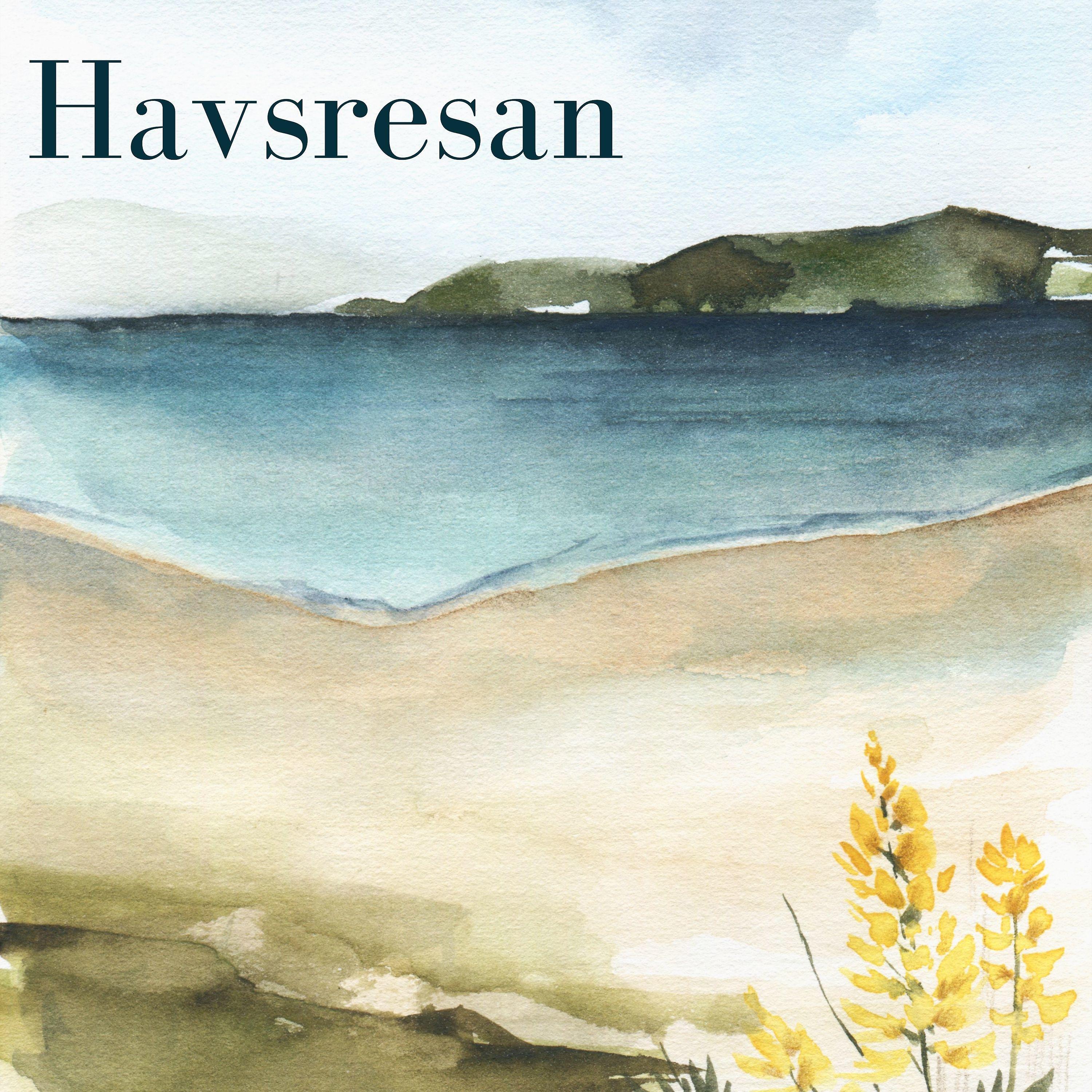 Постер альбома Havsresan