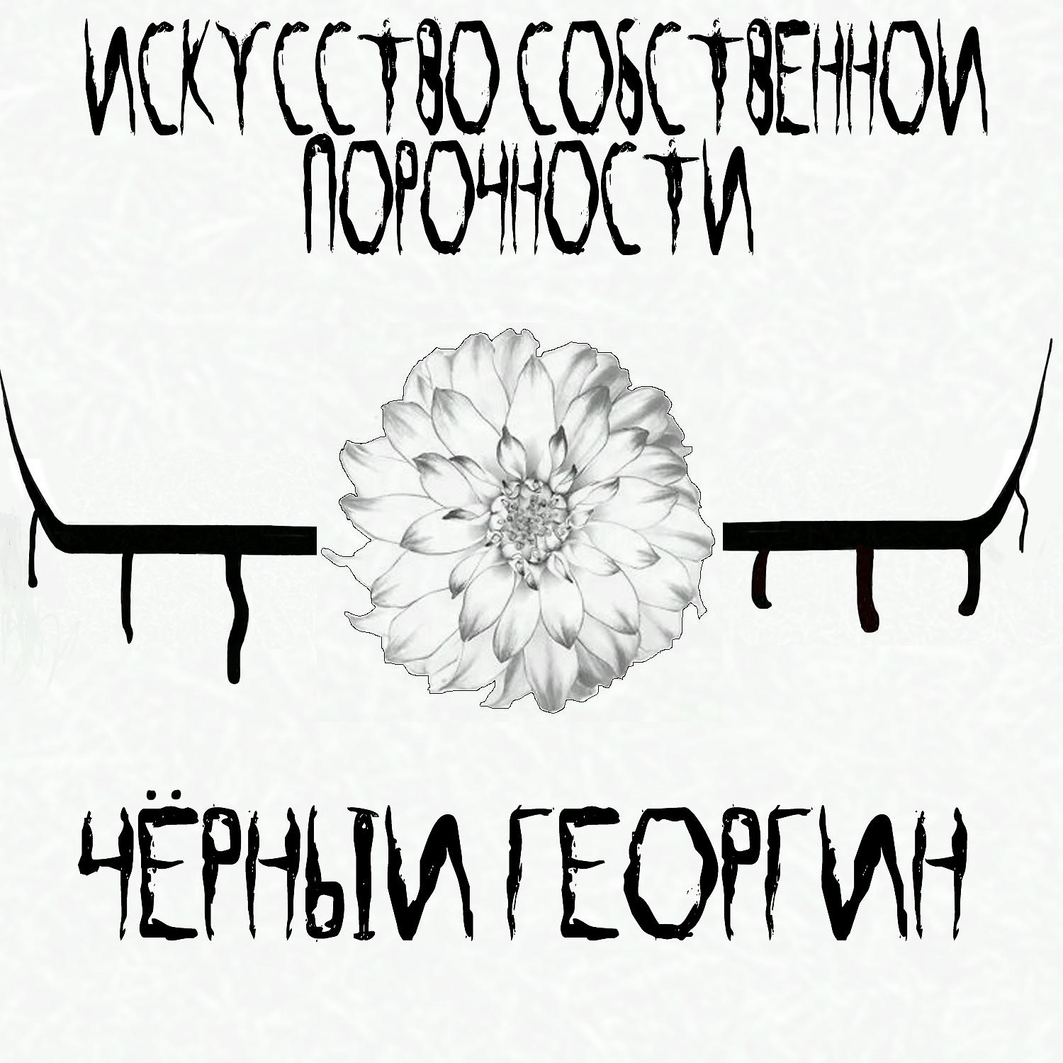 Постер альбома Чëрный георгин