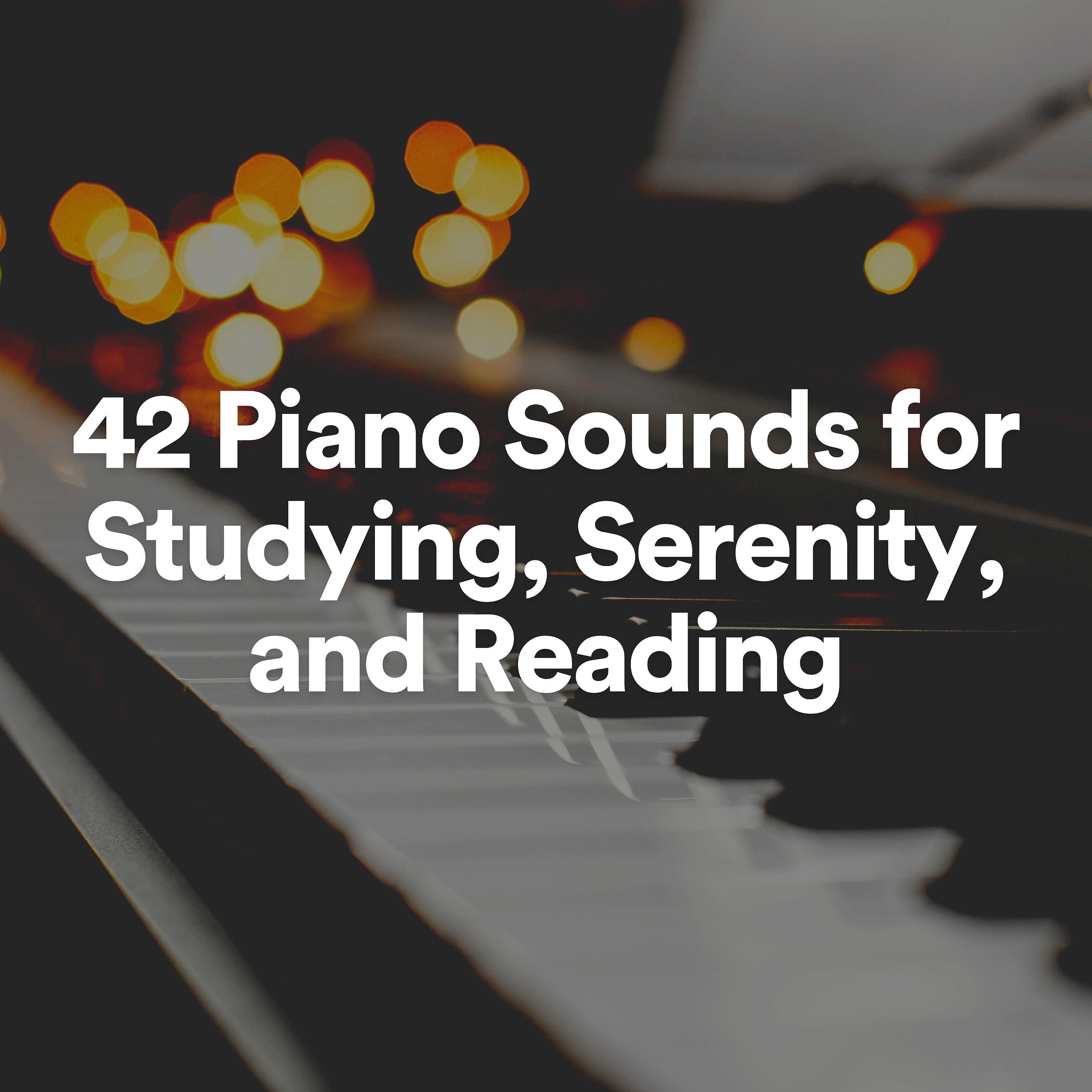 Постер альбома 42 Piano Sounds for Studying, Serenity, and Reading