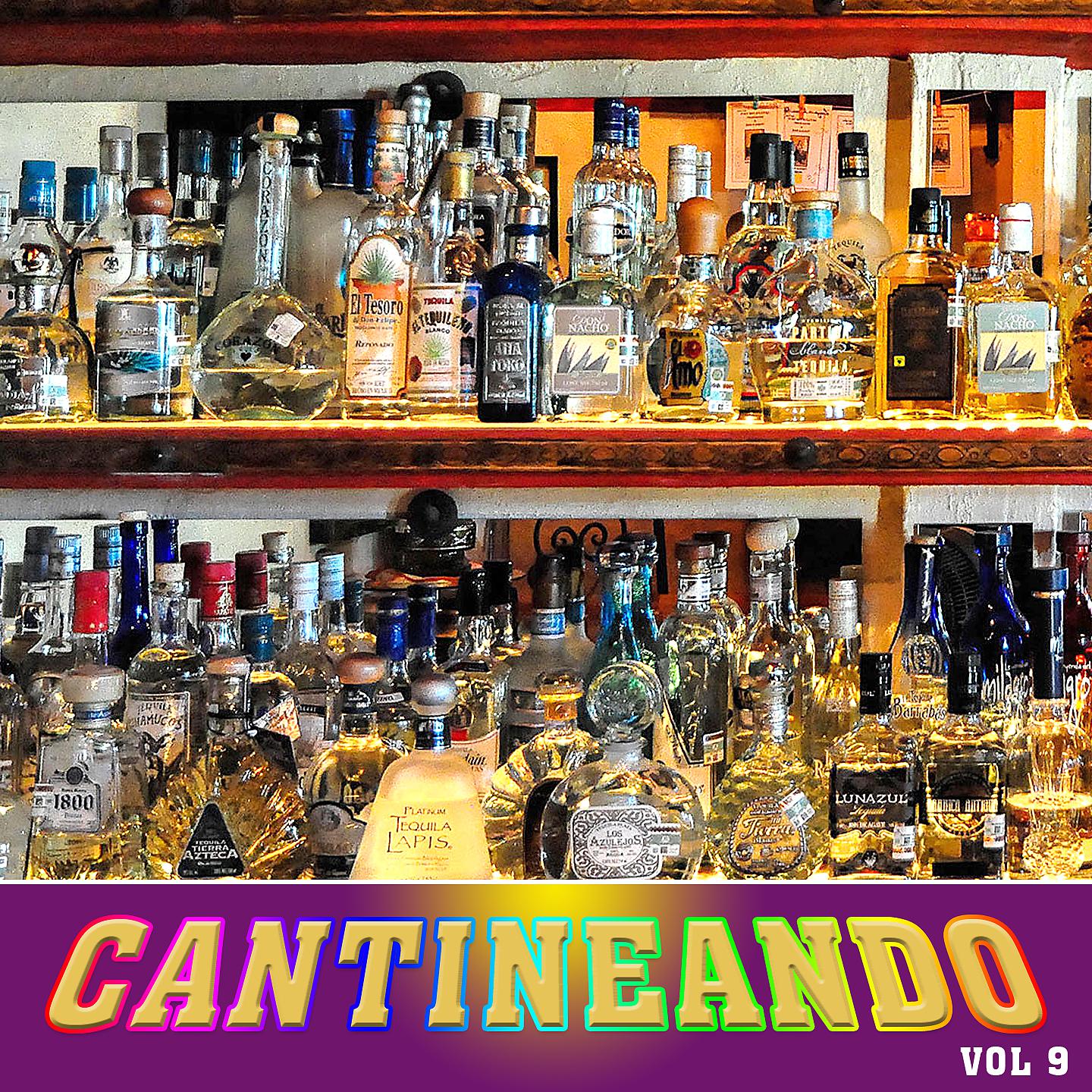 Постер альбома Cantineando, Vol.9