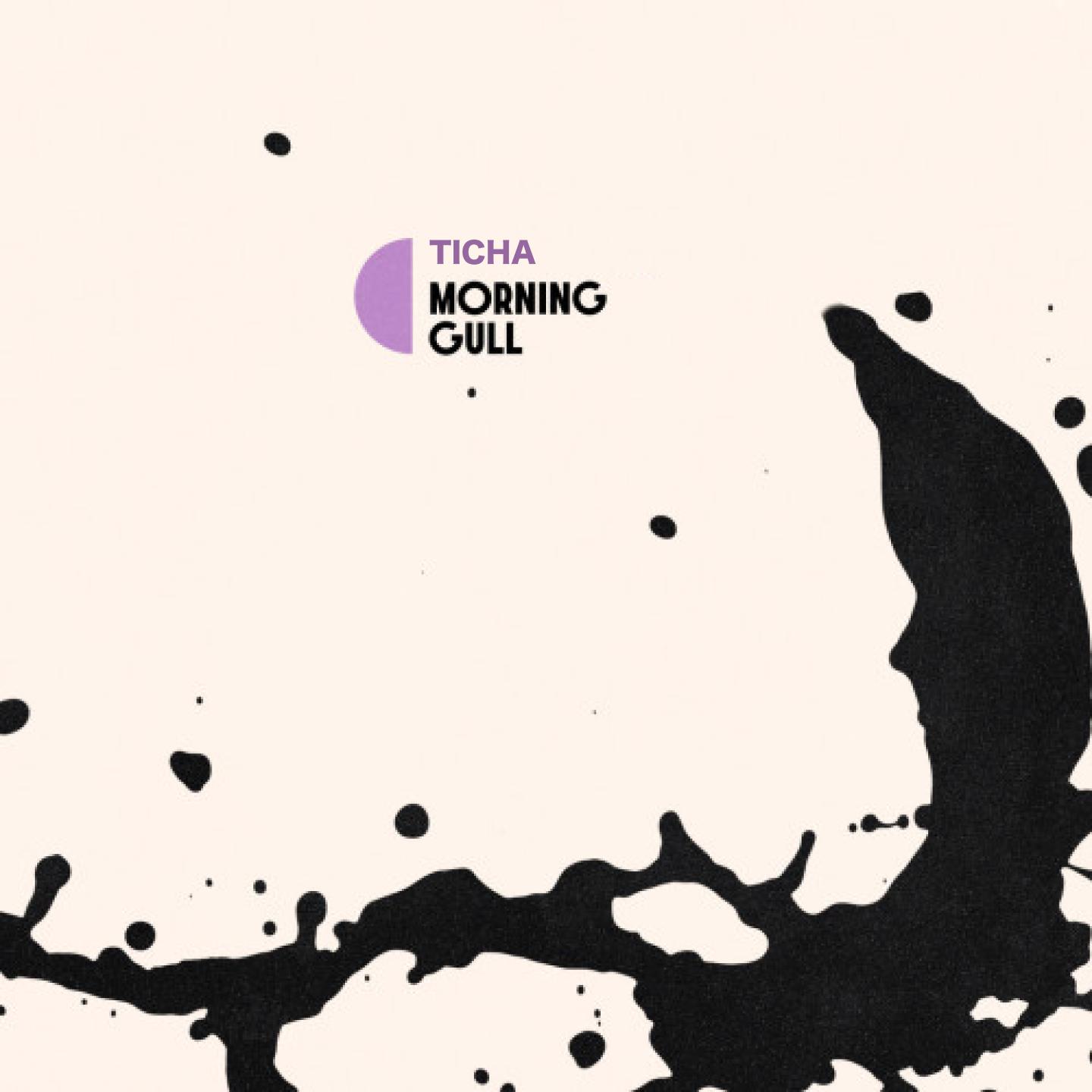 Постер альбома morning gull