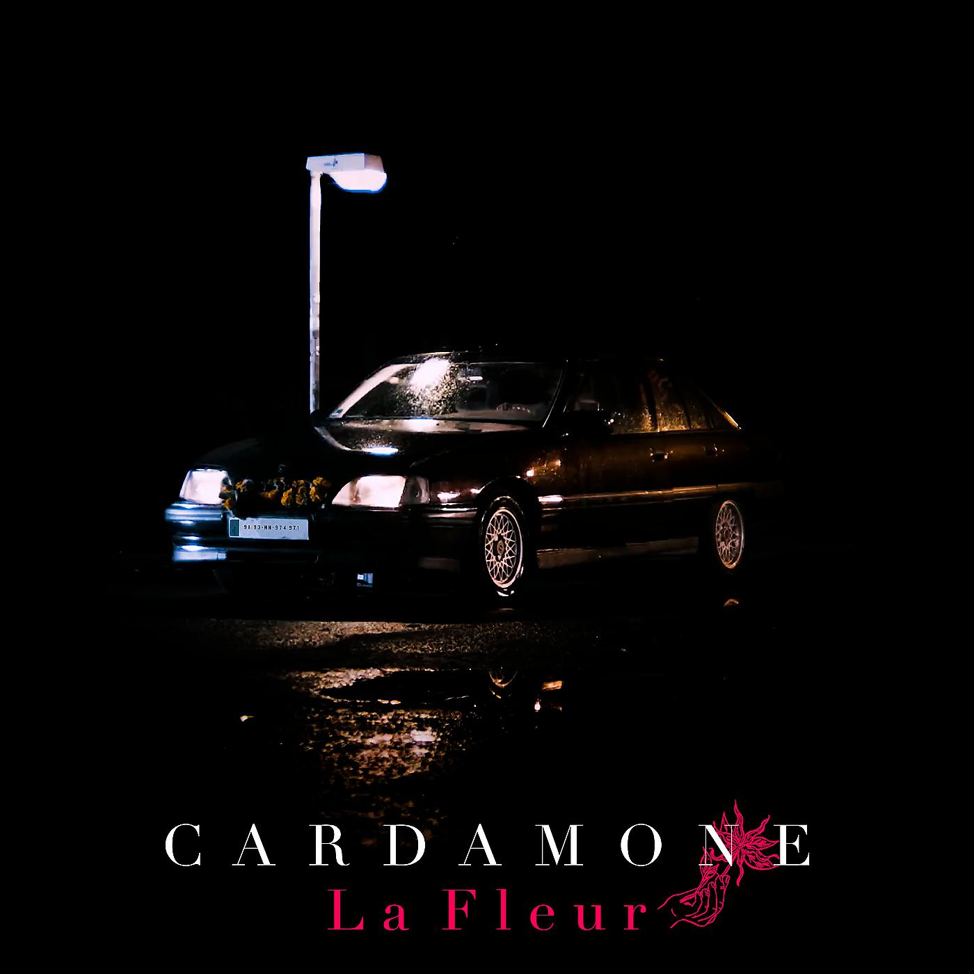 Постер альбома Cardamone