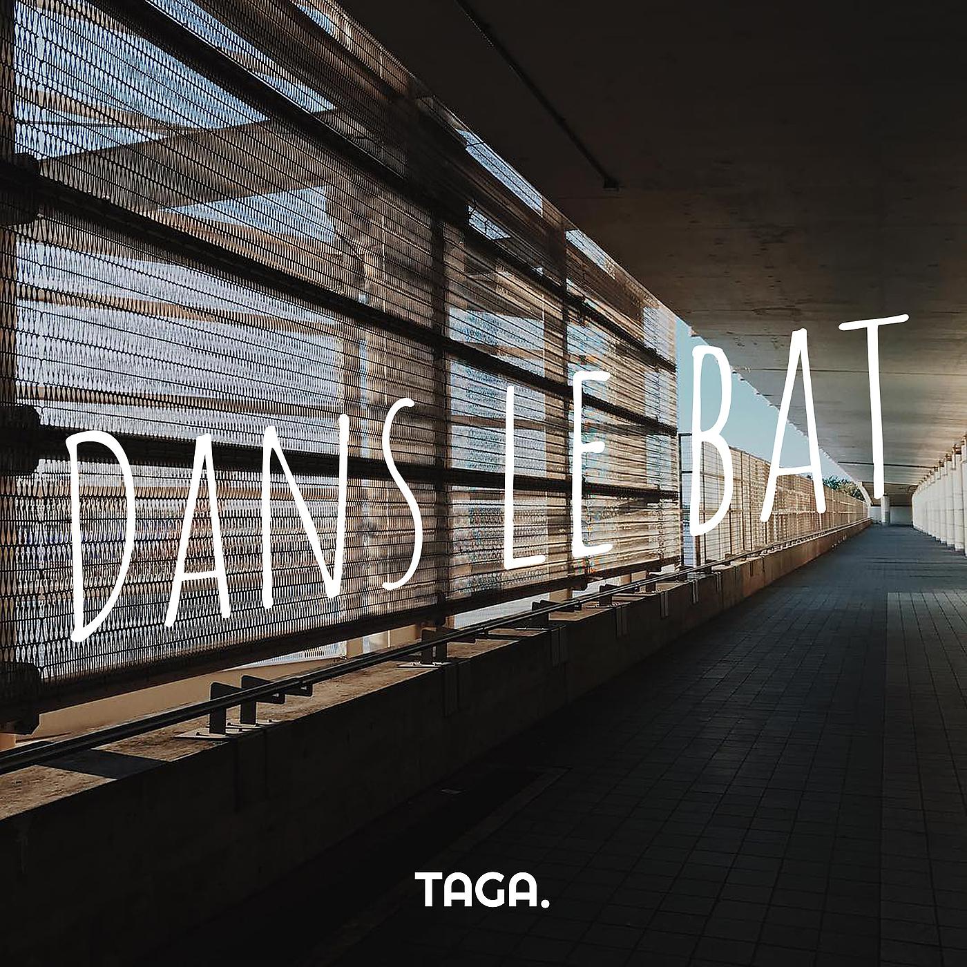 Постер альбома Dans le bat