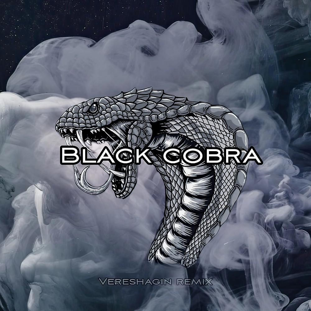 Постер альбома Black Cobra