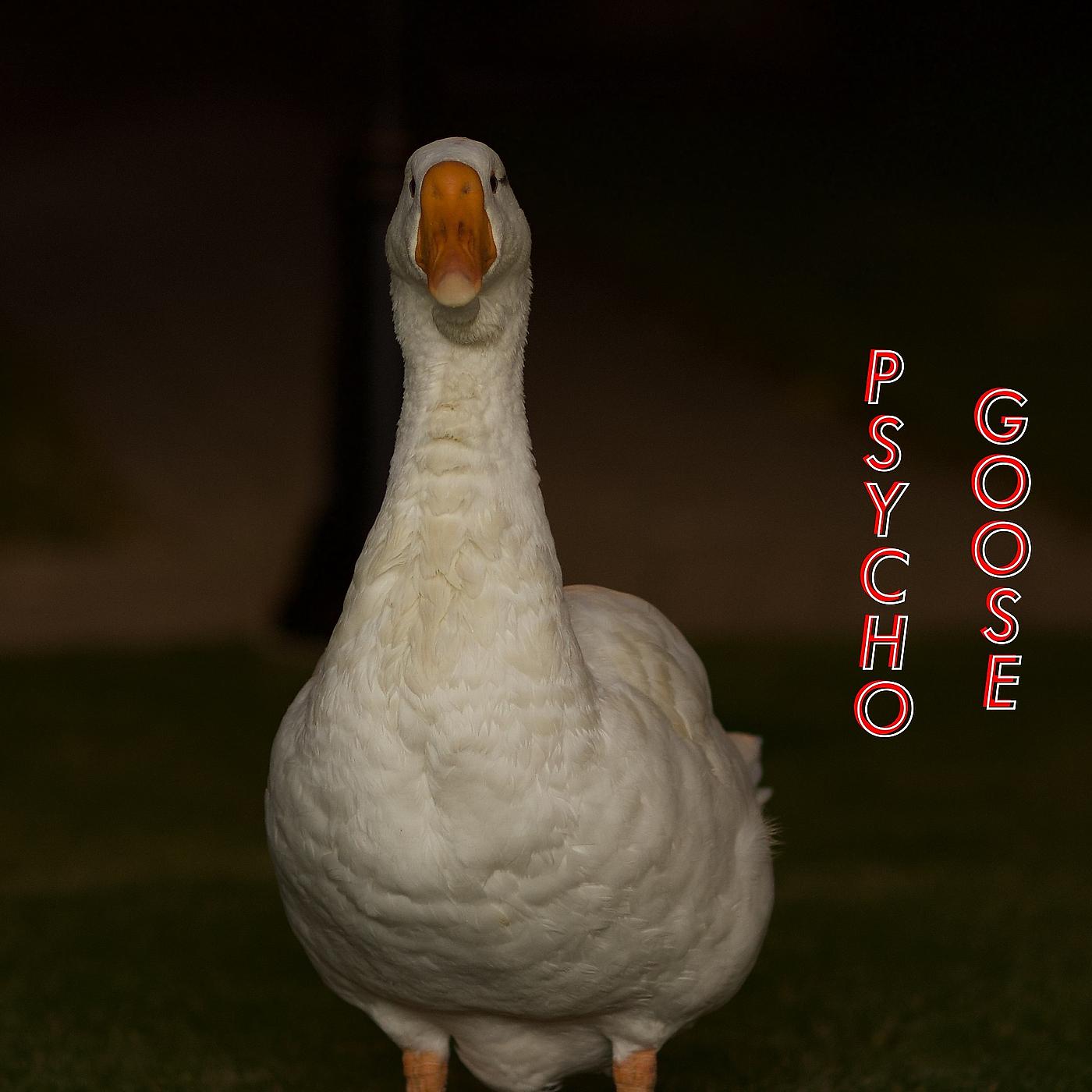 Постер альбома Psycho Goose