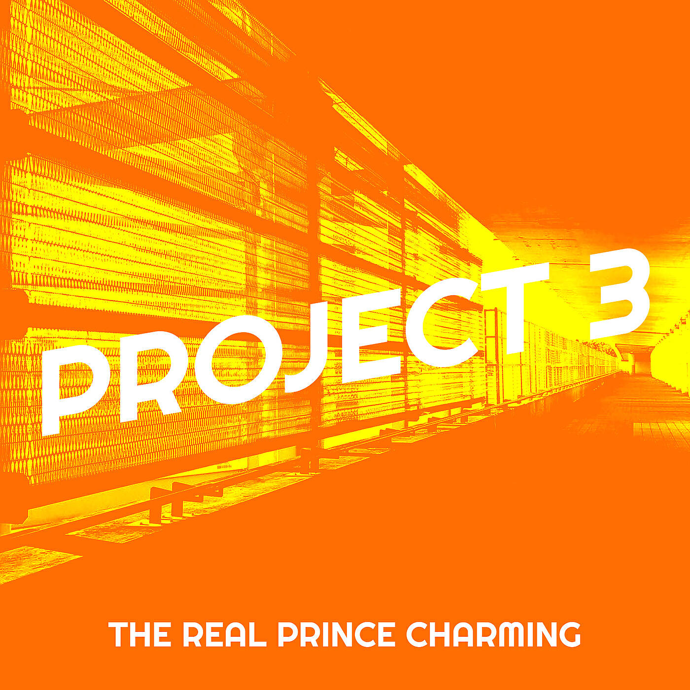 Альбом Project 3 исполнителя The Real Prince Charming