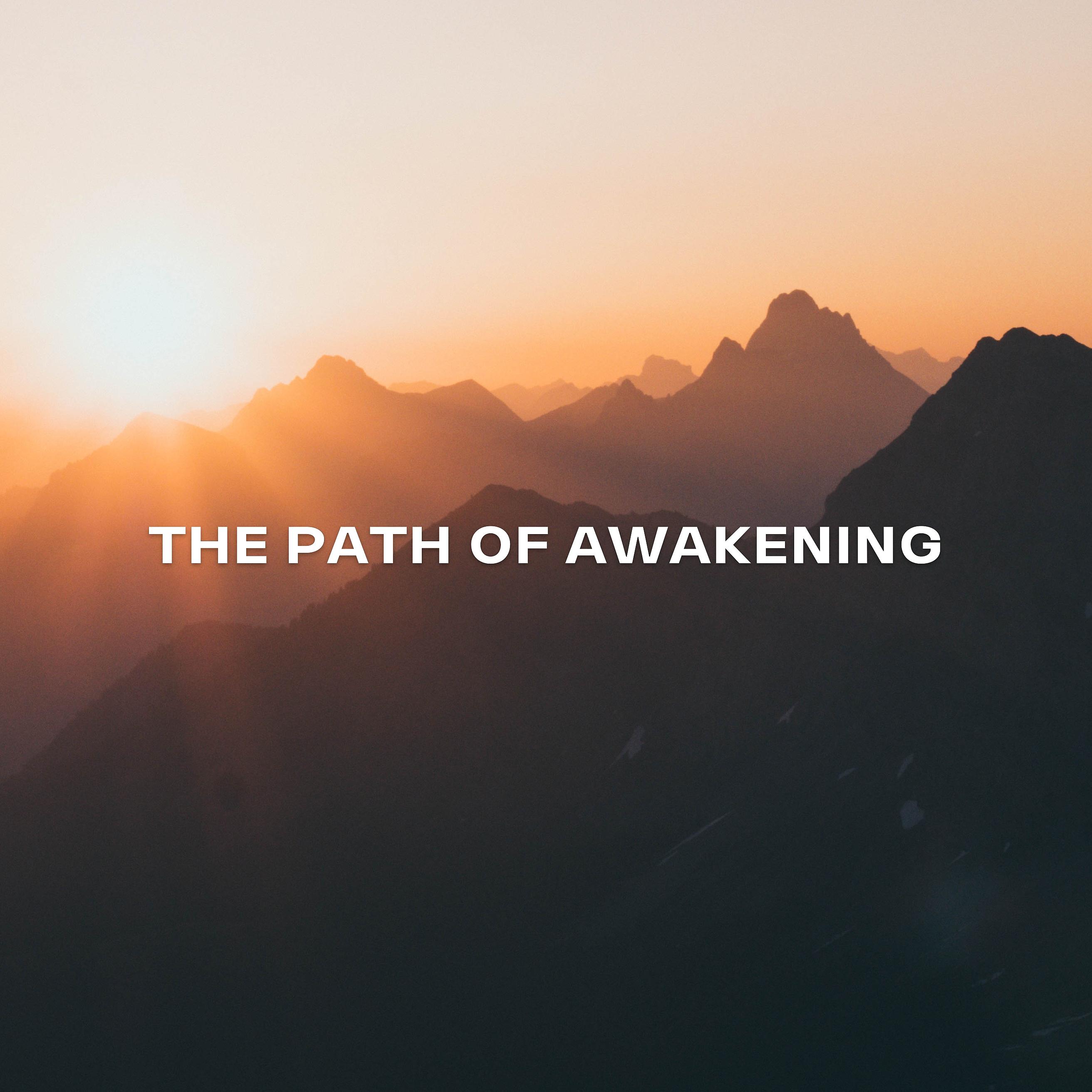 Постер альбома The Path of Awakening