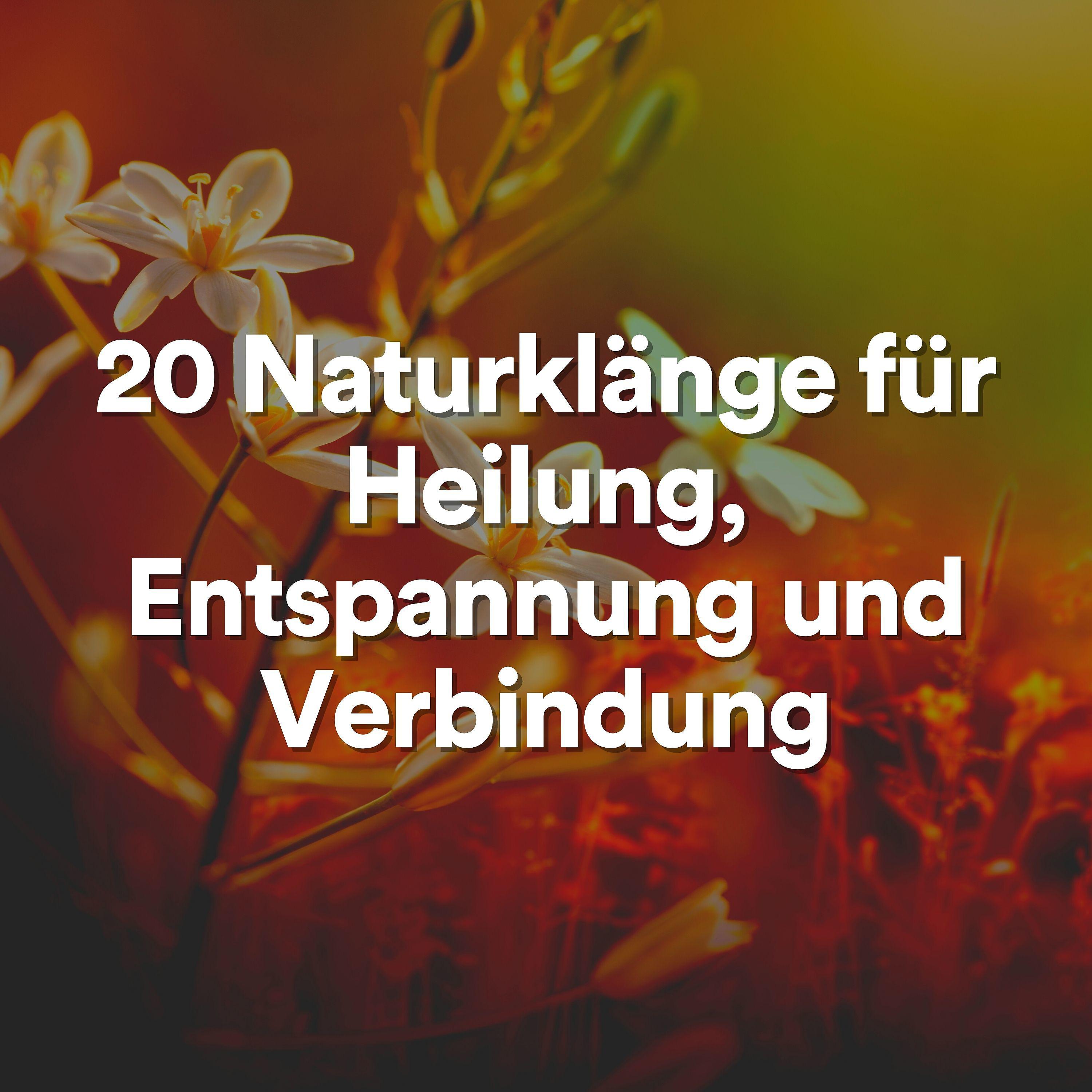 Постер альбома 20 Naturklänge für Heilung, Entspannung und Verbindung