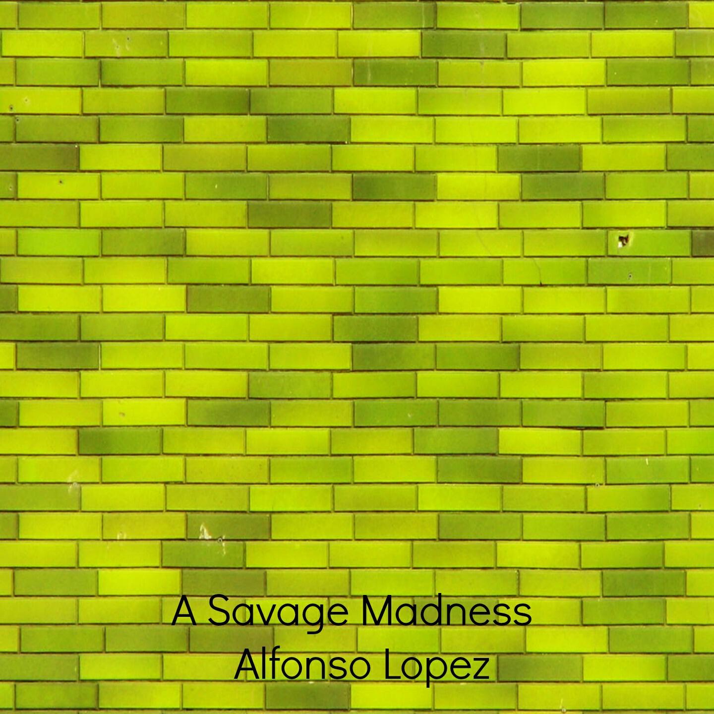Alfonso Lopez - Rhythm Emotions: A Savage Madness