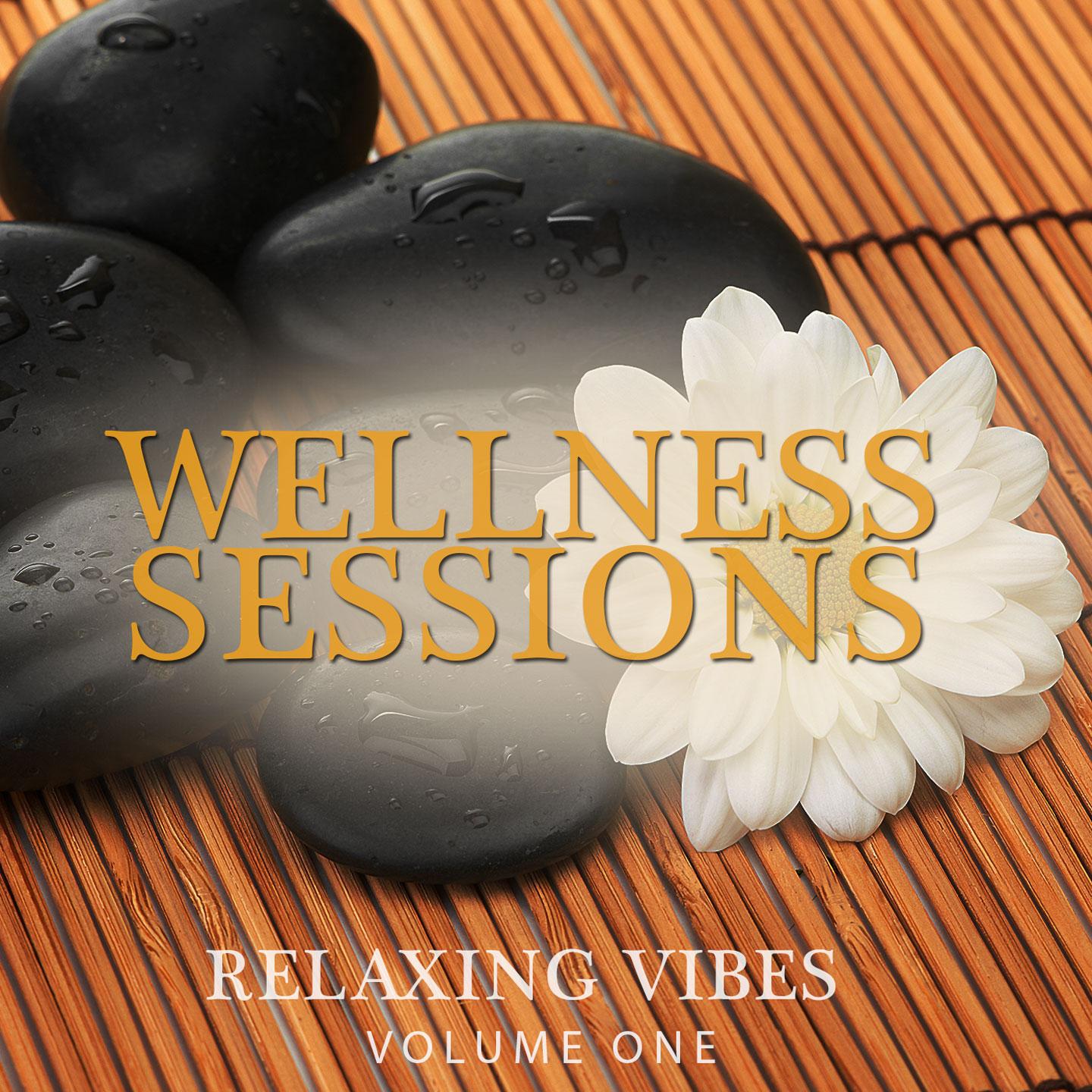 Постер альбома Wellness Sessions, Vol. 1