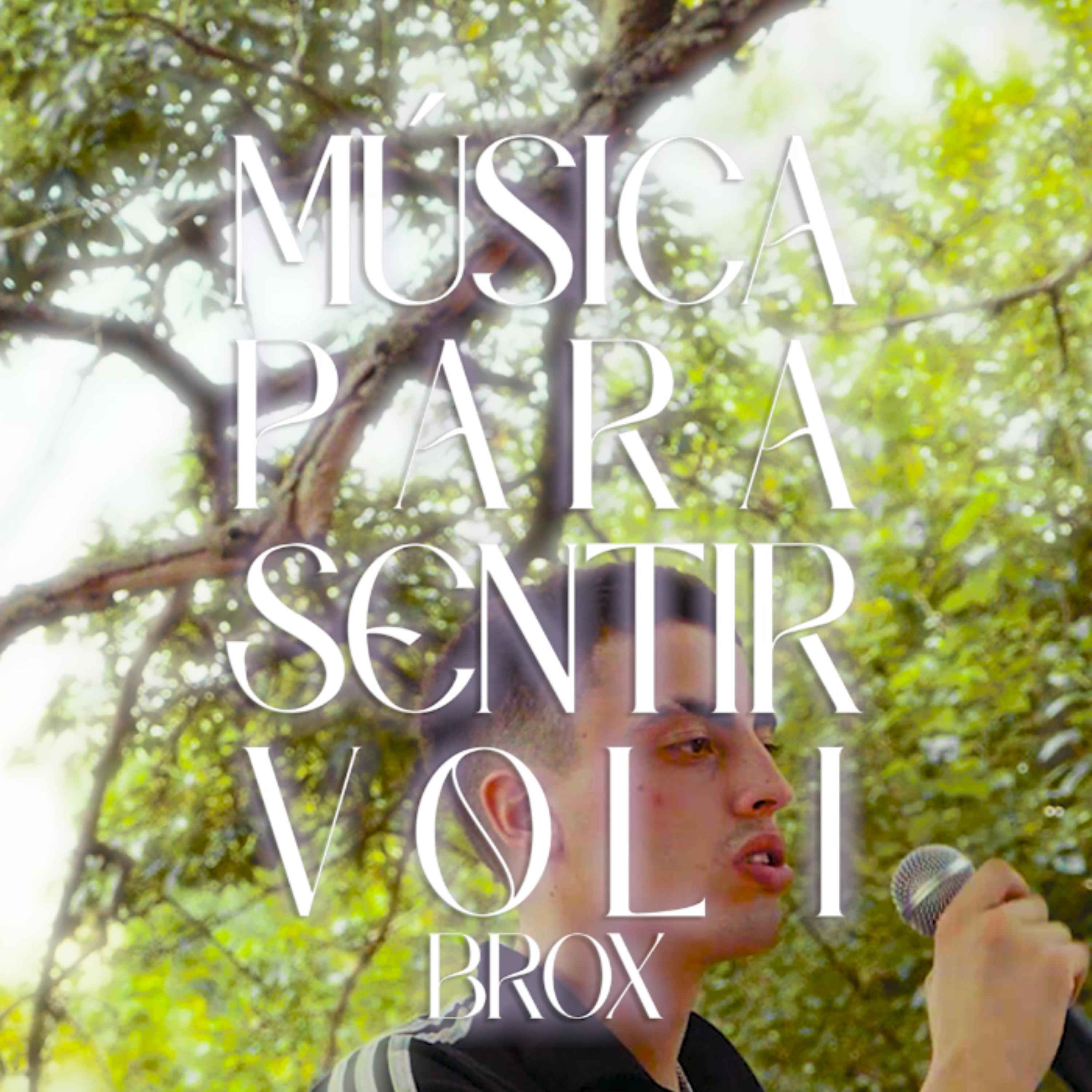 Постер альбома Musica para Sentir, Vol.1