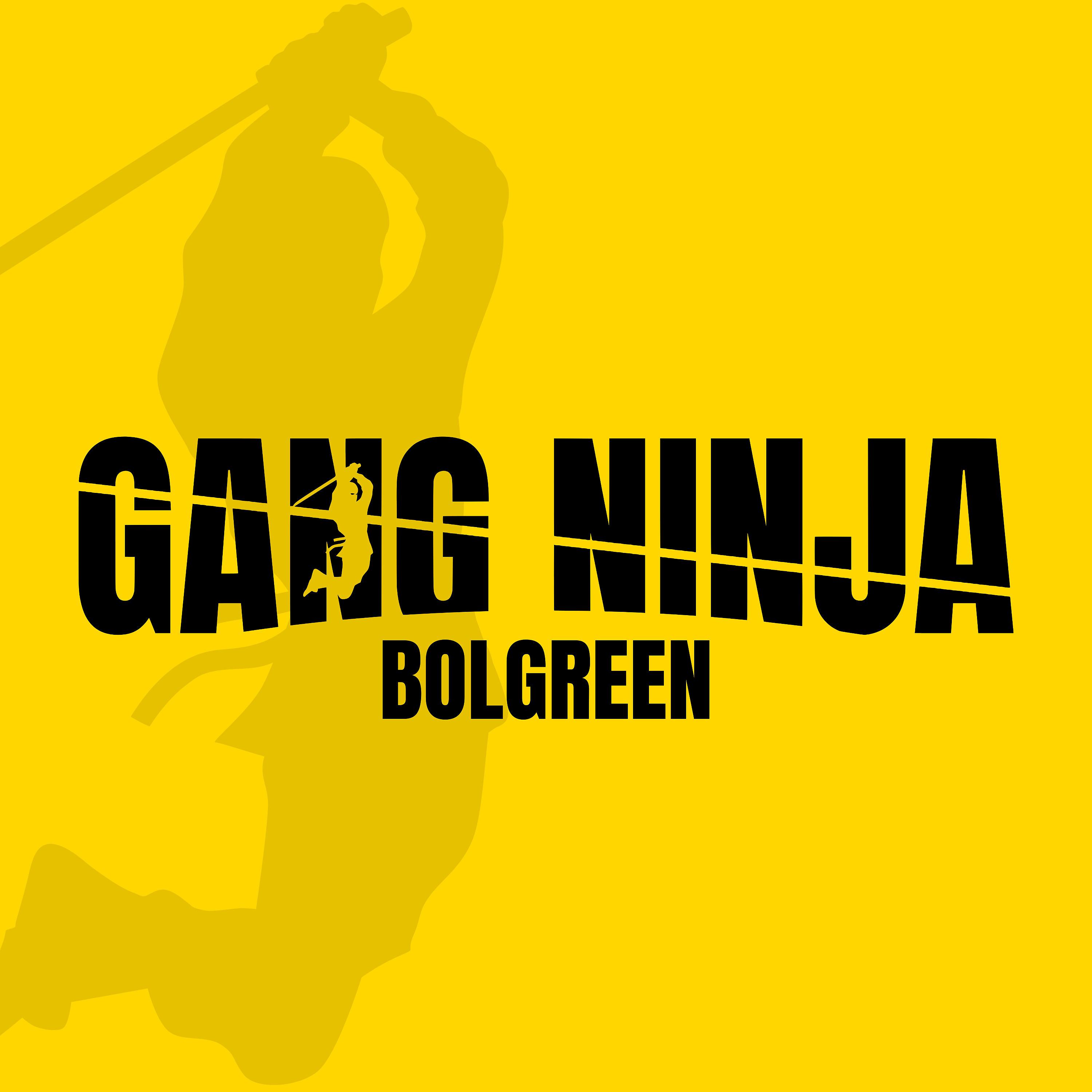 Постер альбома Gang Ninja