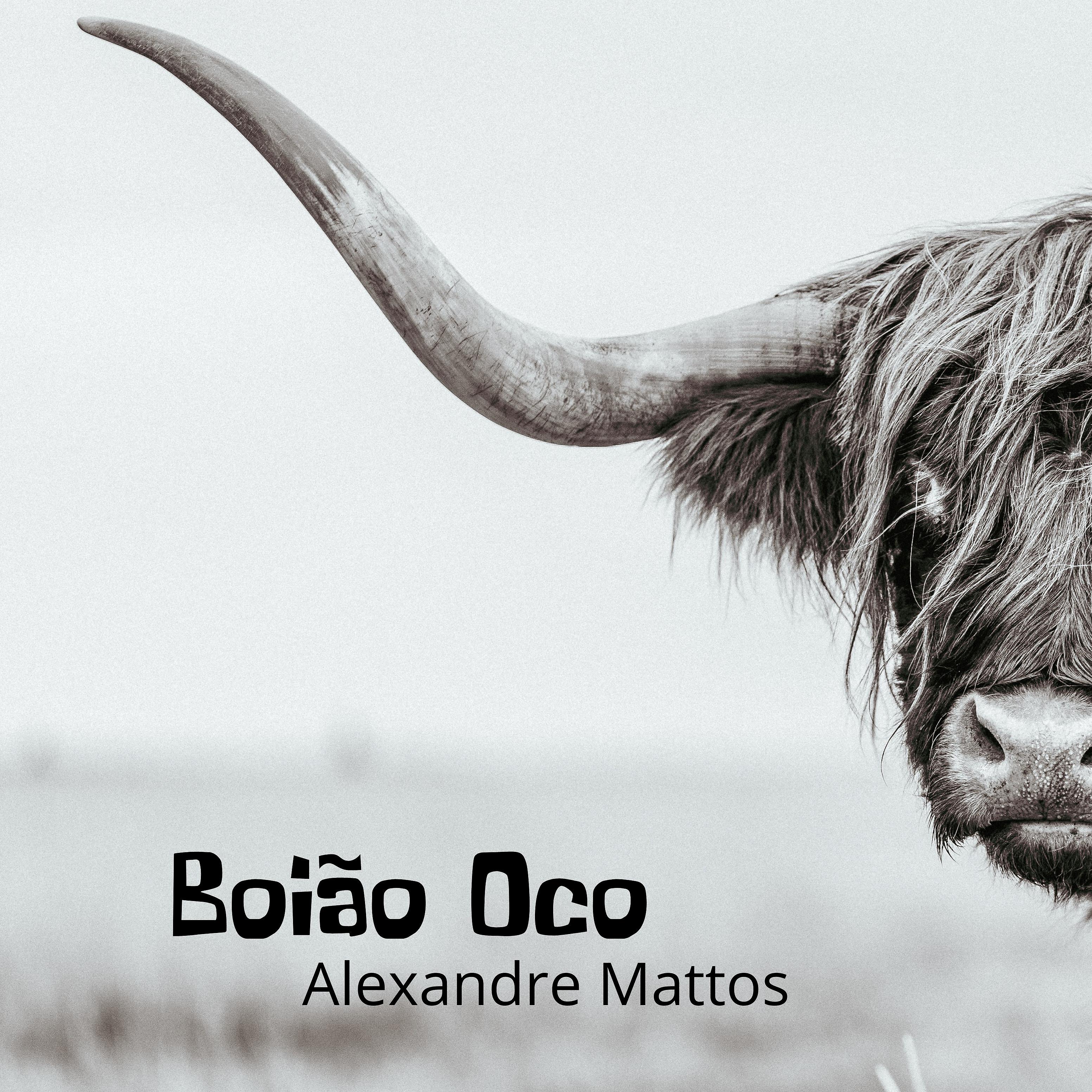 Постер альбома Boião Oco