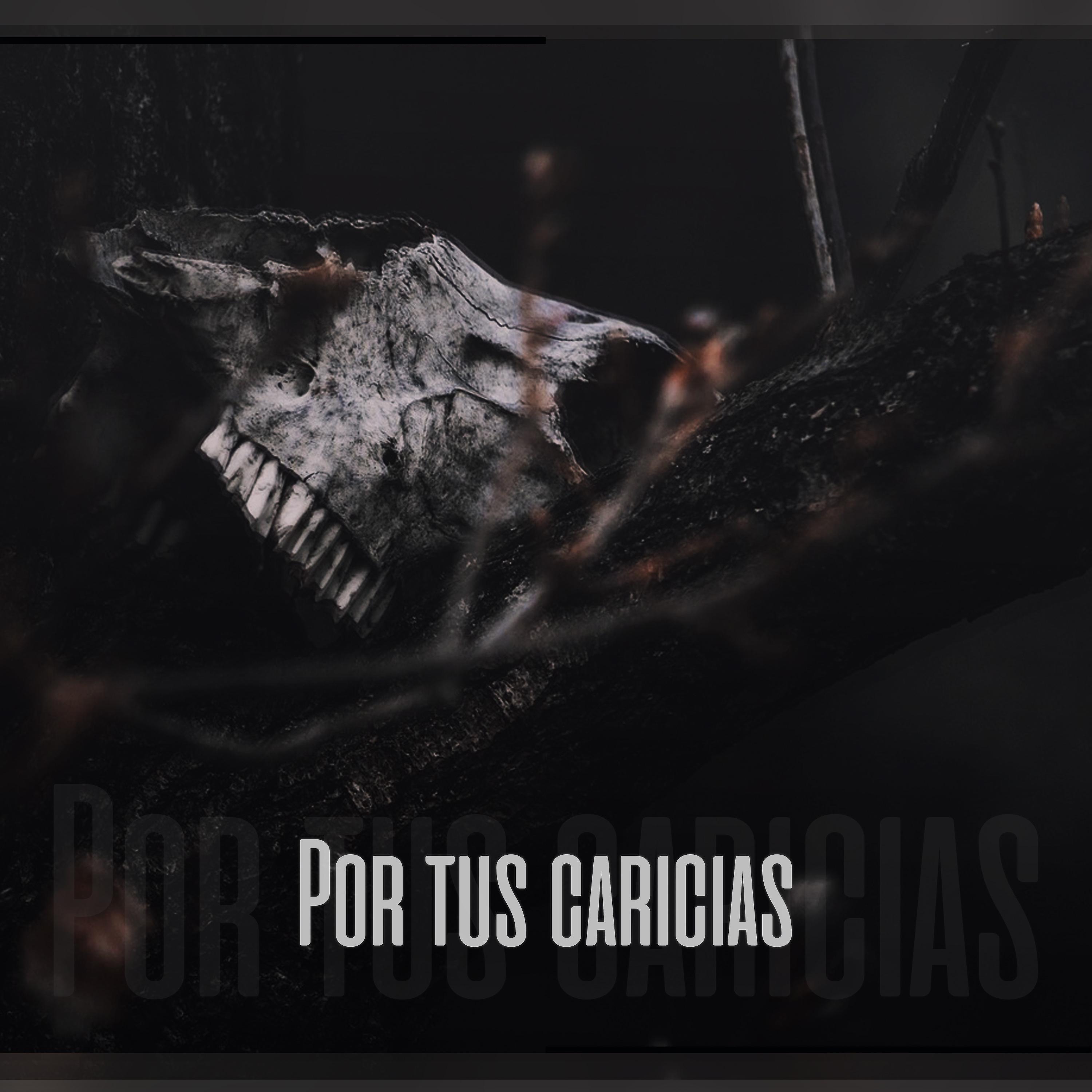 Постер альбома Por Tus Caricias