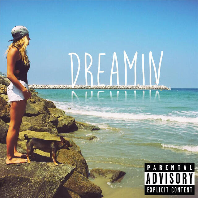 Постер альбома Dreamin (feat. Idan)
