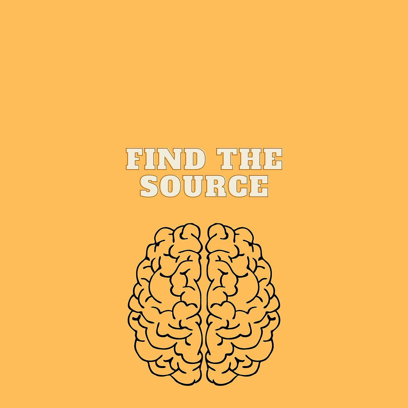 Постер альбома Find the source