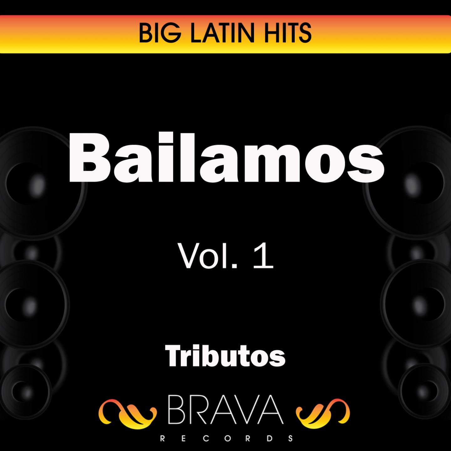 Постер альбома Bailamos Vol. 1
