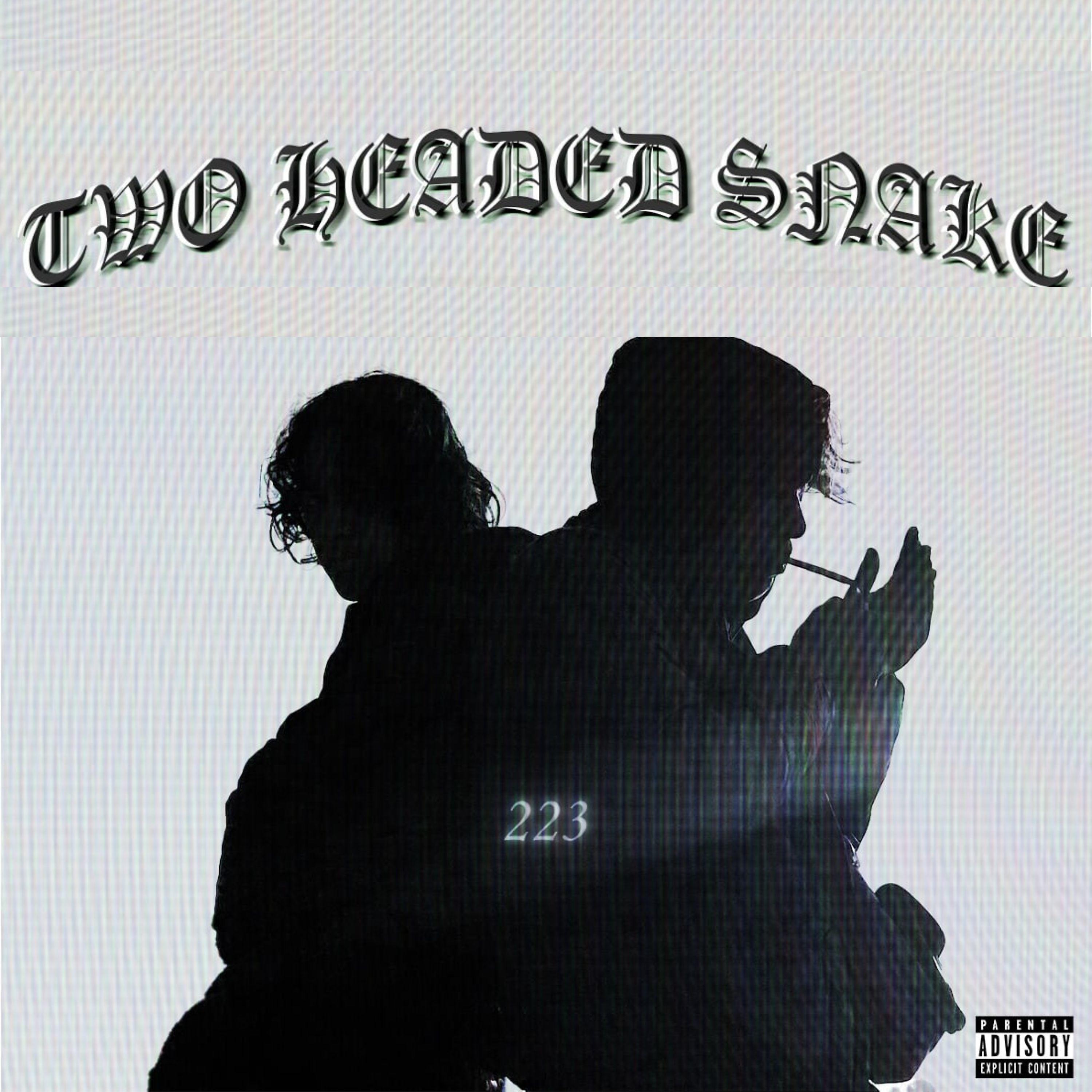 Постер альбома Two Headed Snake