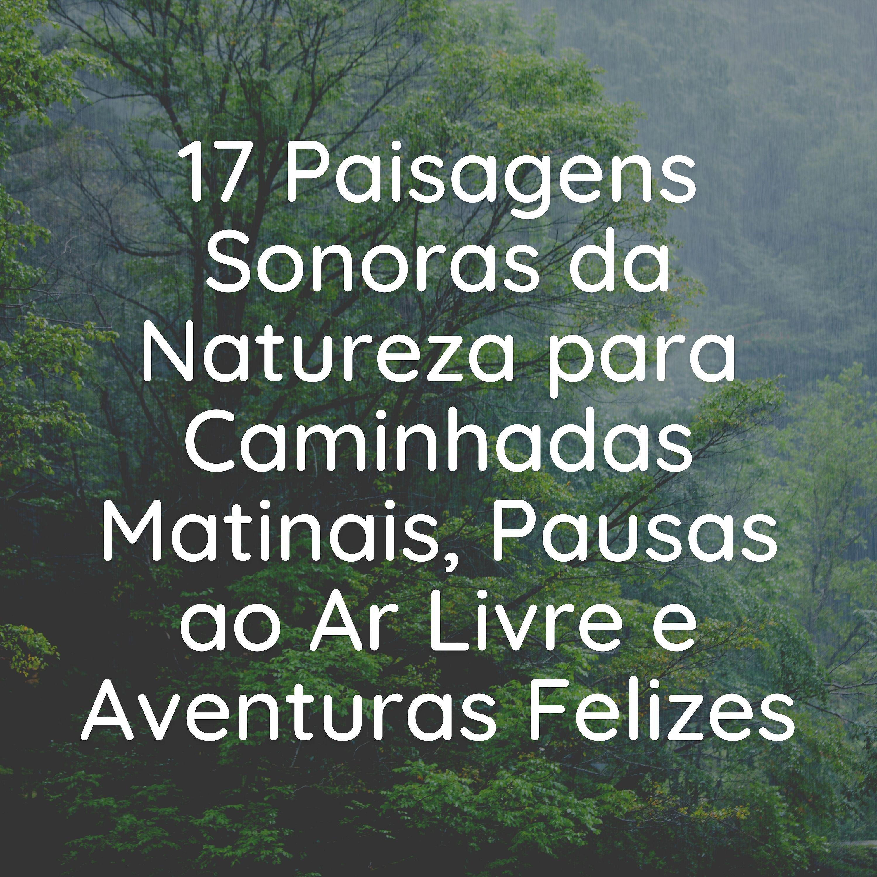 Постер альбома 17 Paisagens Sonoras da Natureza para Caminhadas Matinais, Pausas ao Ar Livre e Aventuras Felizes