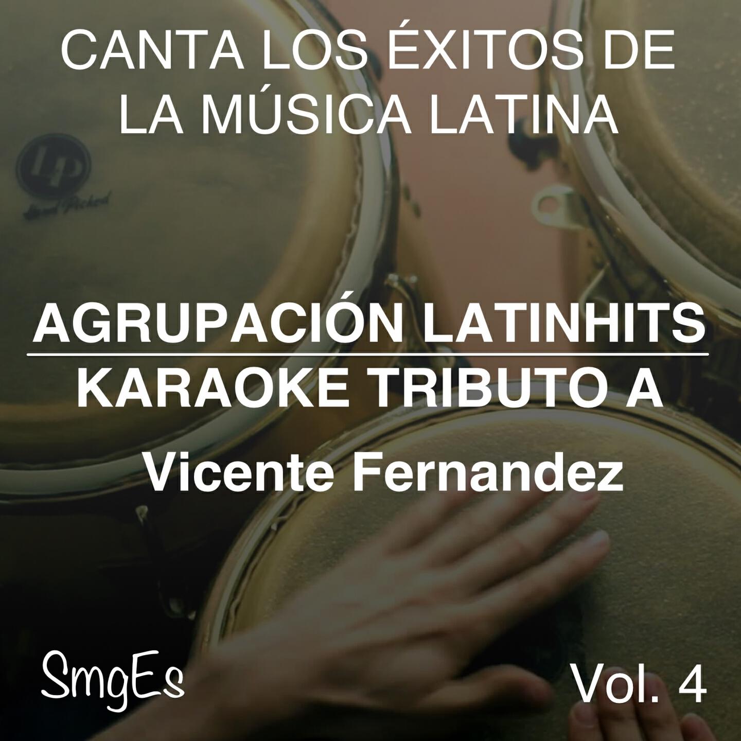 Agrupacion LatinHits - Para Que No Te Vayas