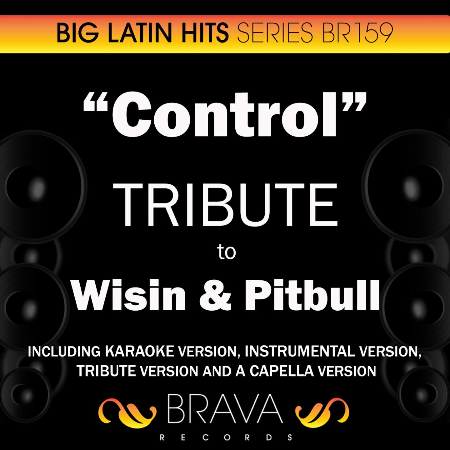 Brava HitMakers - Control (In The Style Of Wisin & Pitbull) [Karaoke Version]