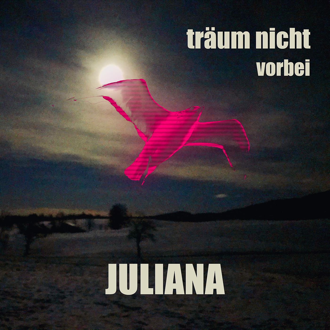 Постер альбома Träum nicht vorbei