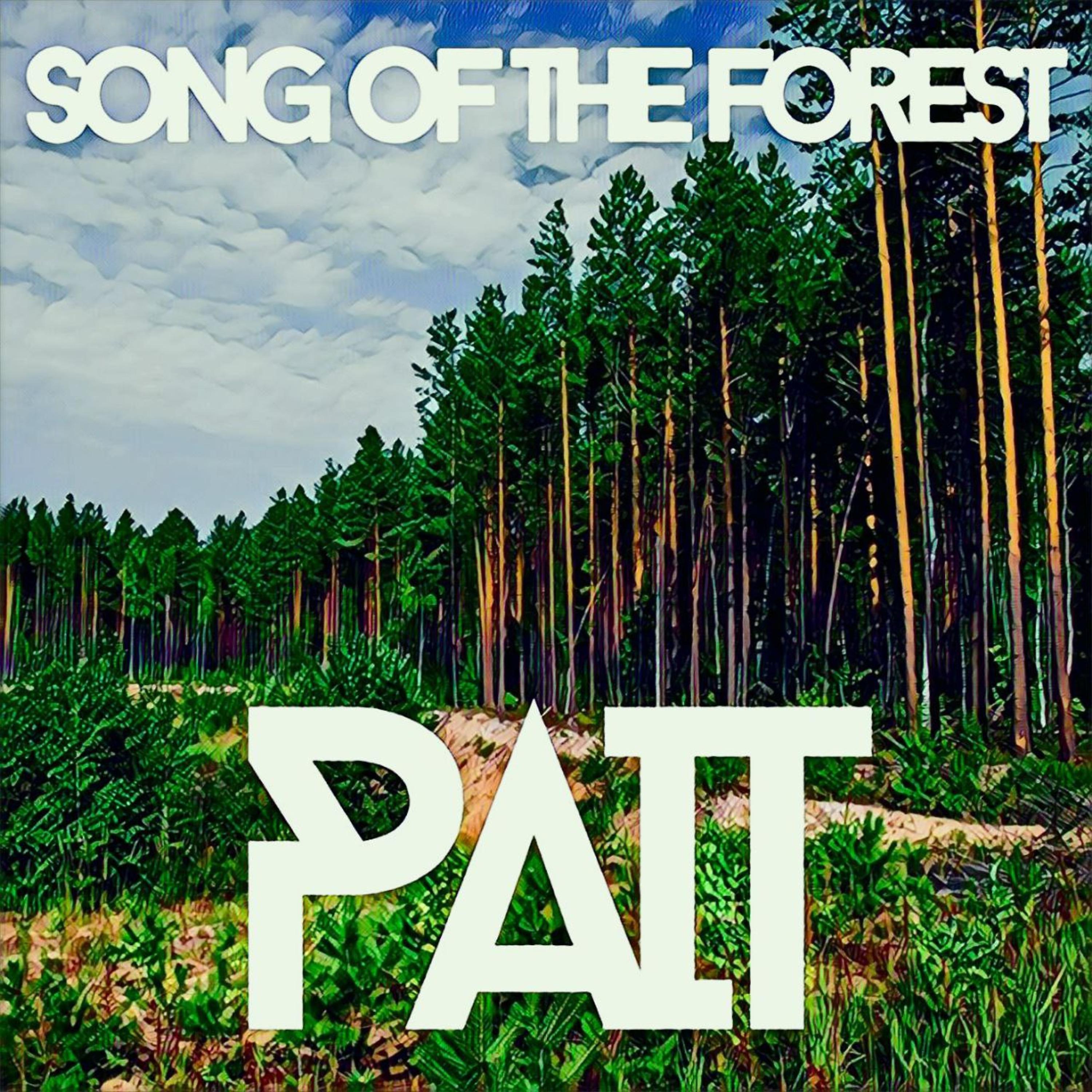 Постер альбома Song Of The Forest