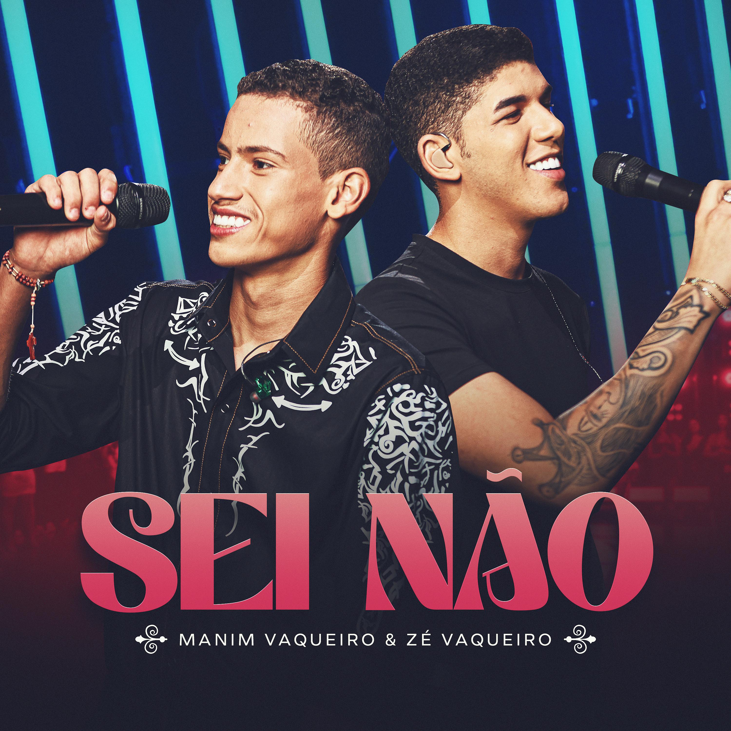 Постер альбома Sei Não
