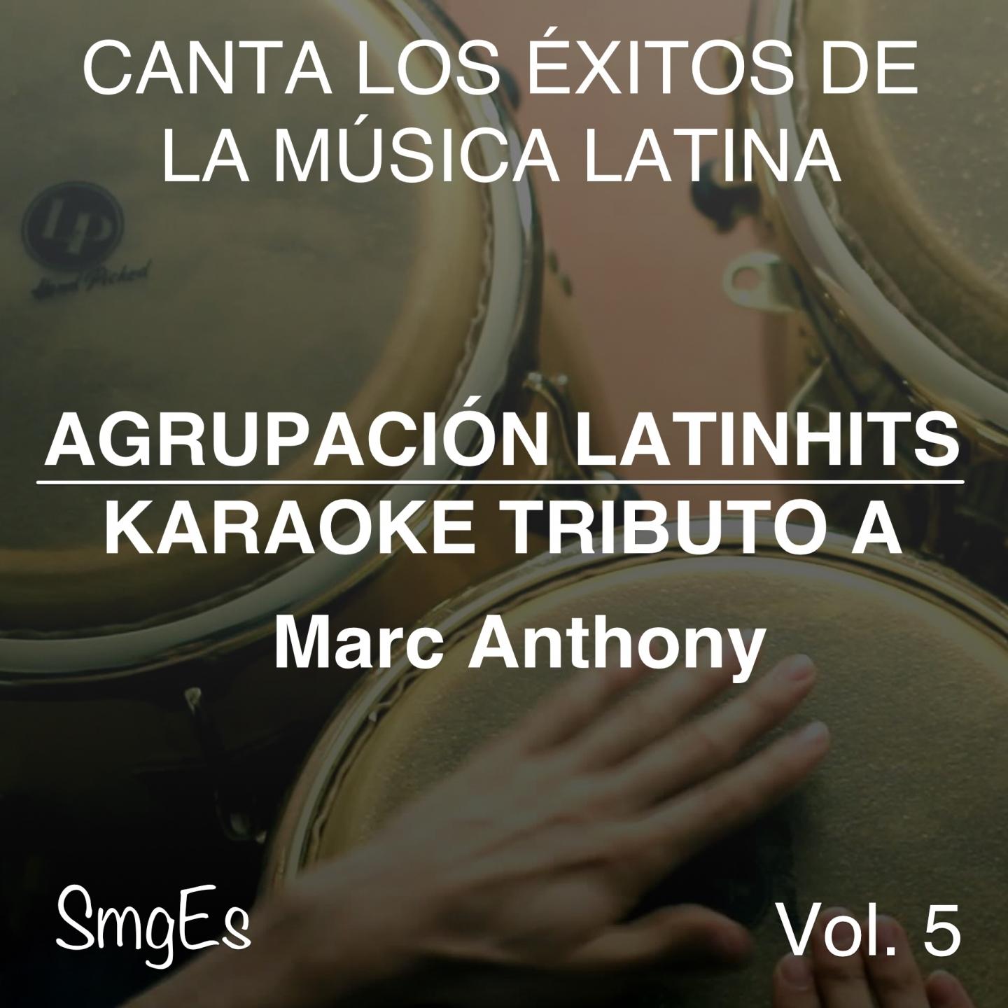 Постер альбома Instrumental Karaoke Series: Marc Anthony, Vol. 5