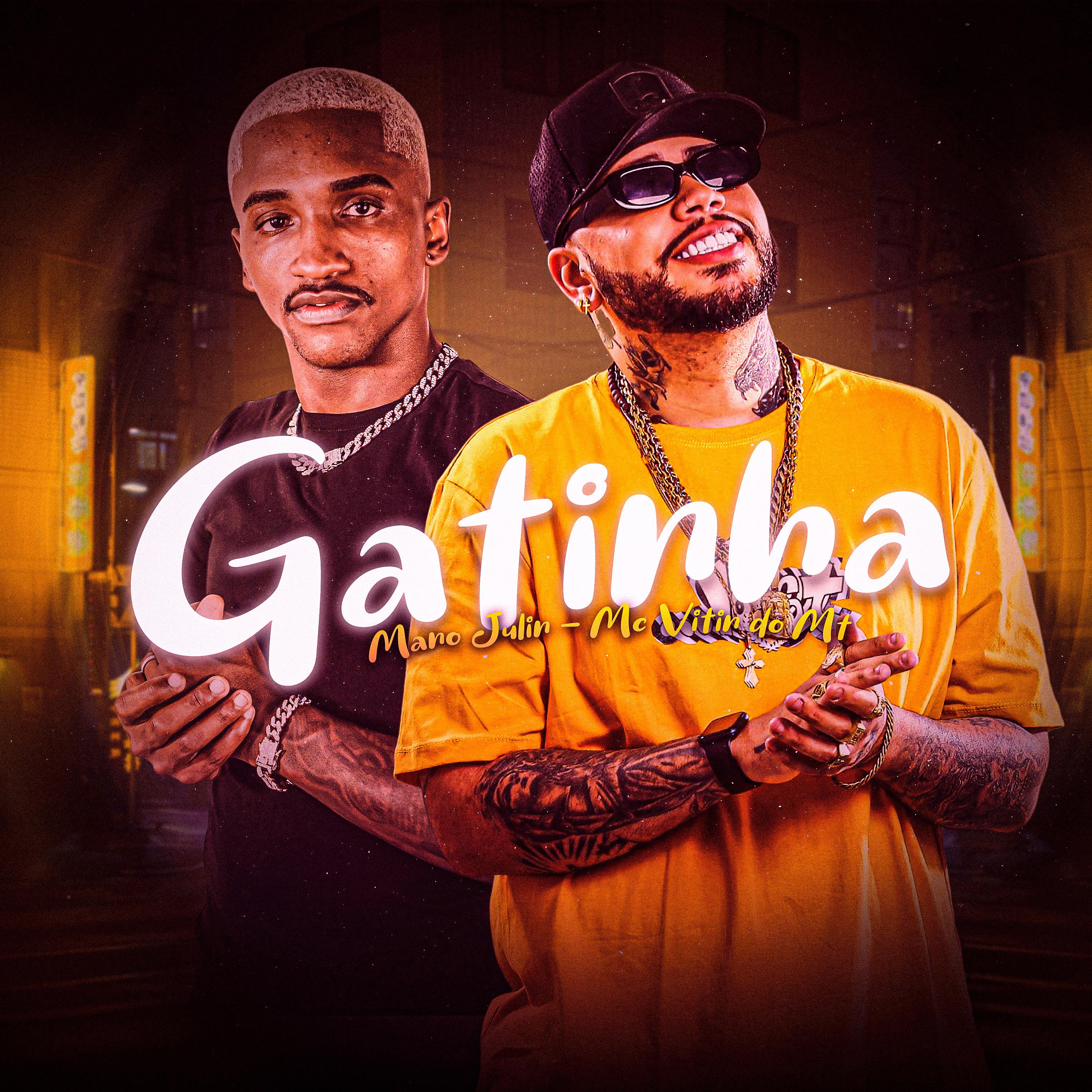 Постер альбома Gatinha